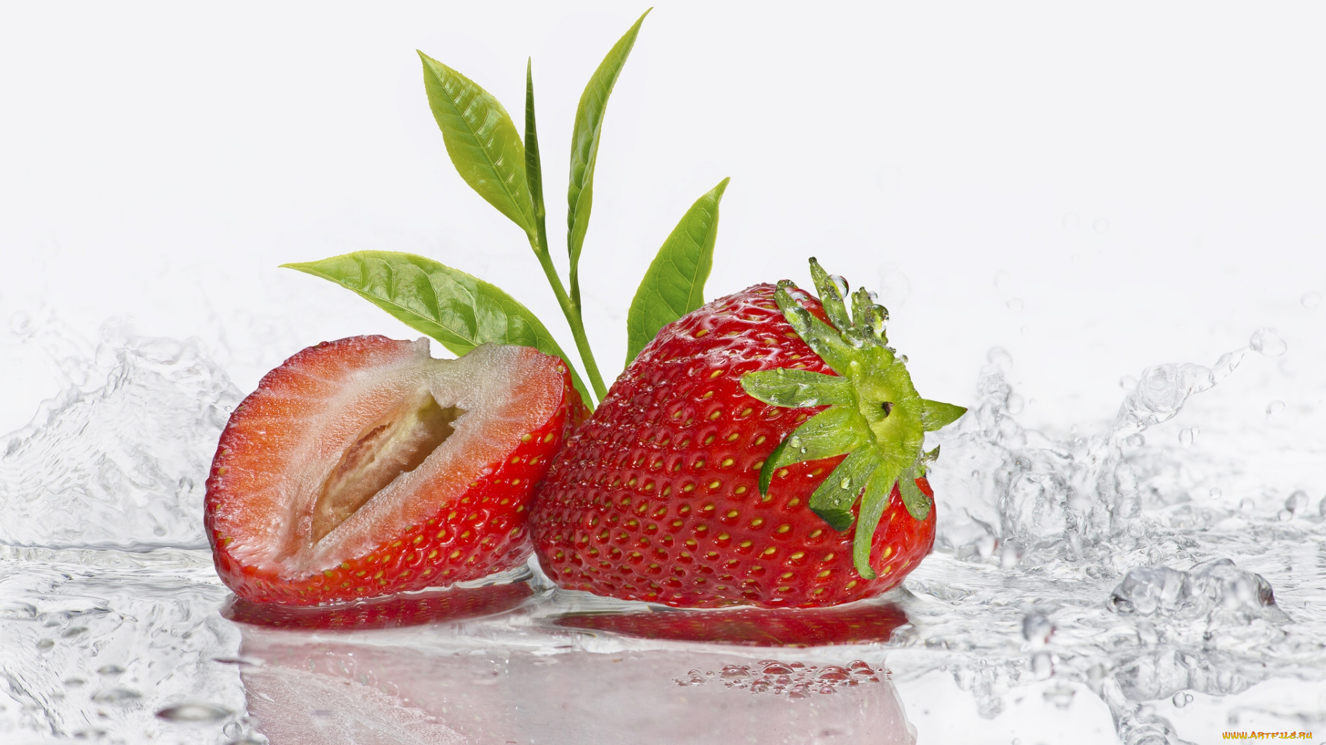 еда, клубника, , земляника, макро, листочки, вода, ягоды