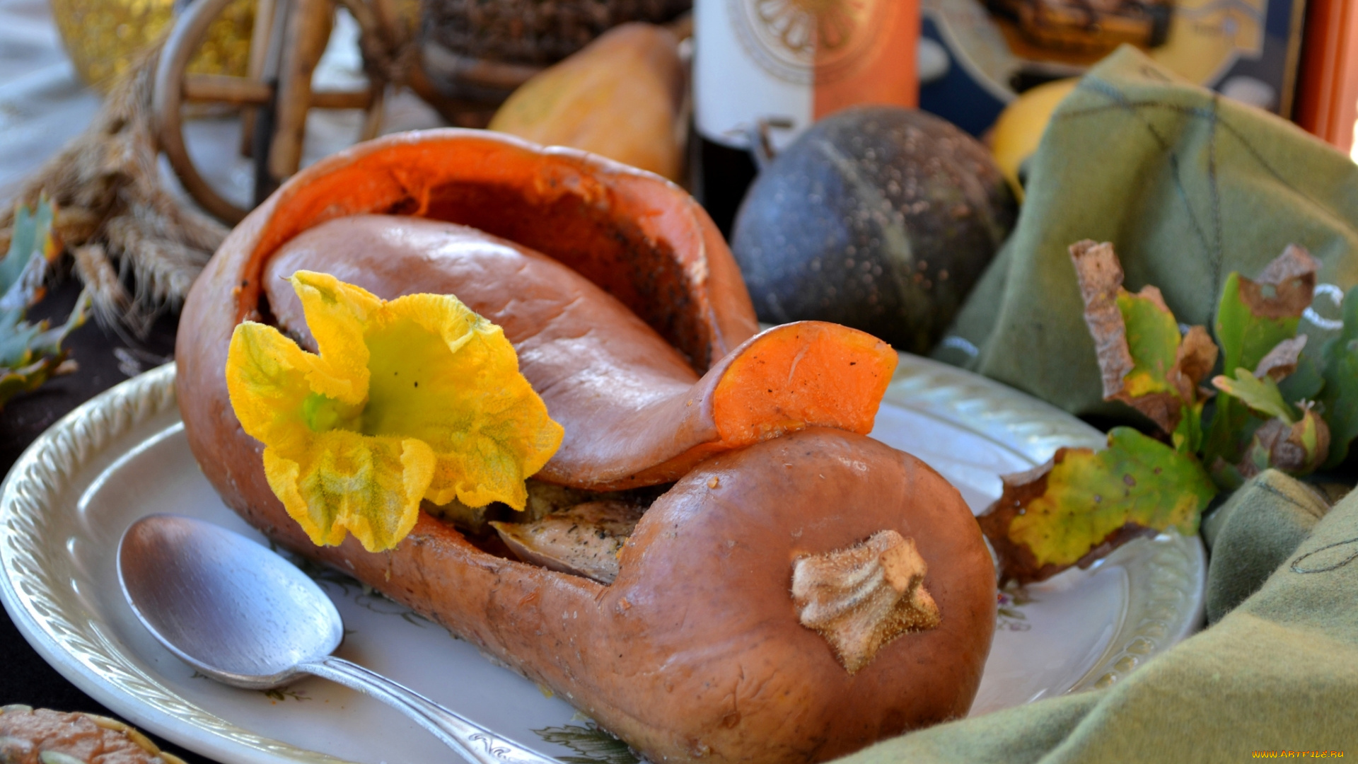 еда, тыква, цветок