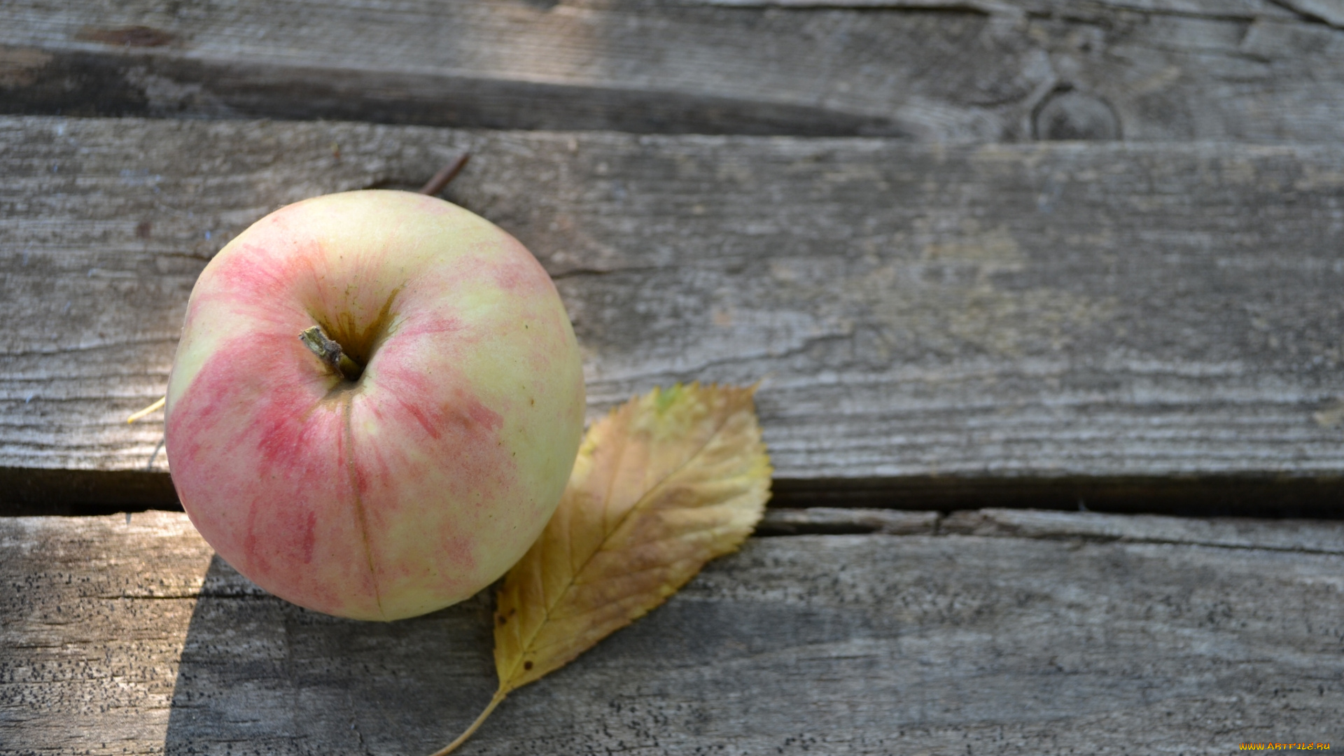 еда, Яблоки, листик, яблоко, фрукт