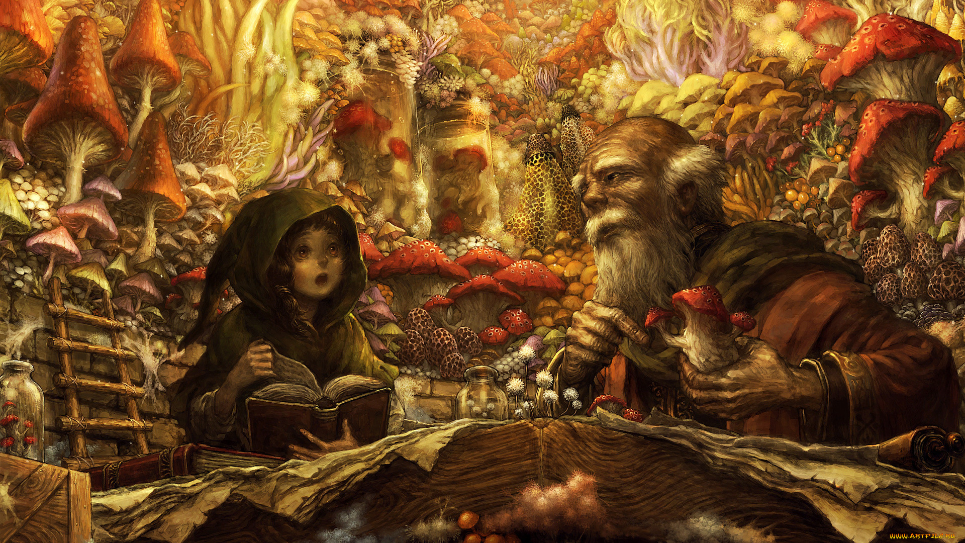 фэнтези, маги, , волшебники, дедушка, знахарь, внучка, книги, грибы