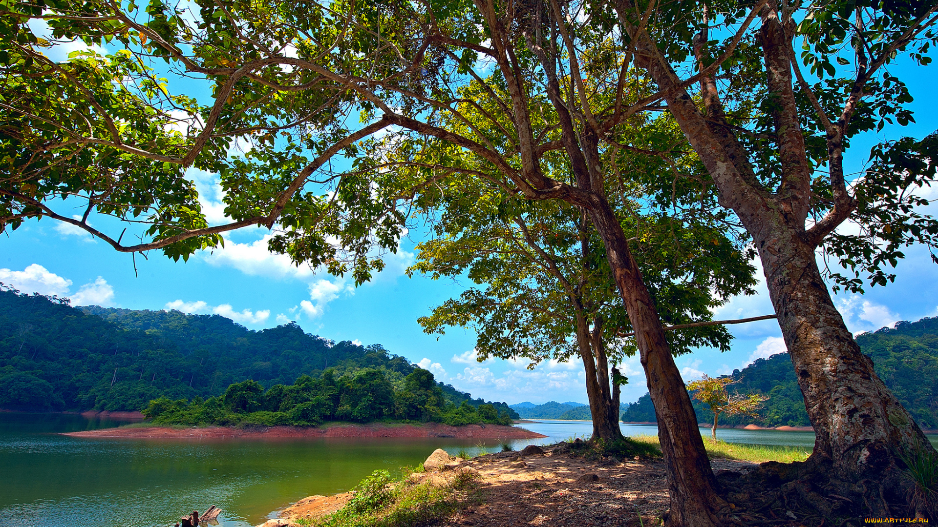 pedu, lake, , kedah, , malaysia, природа, реки, озера, деревья, озеро, остров, малайзия, malaysia, kedah, pedu, lake