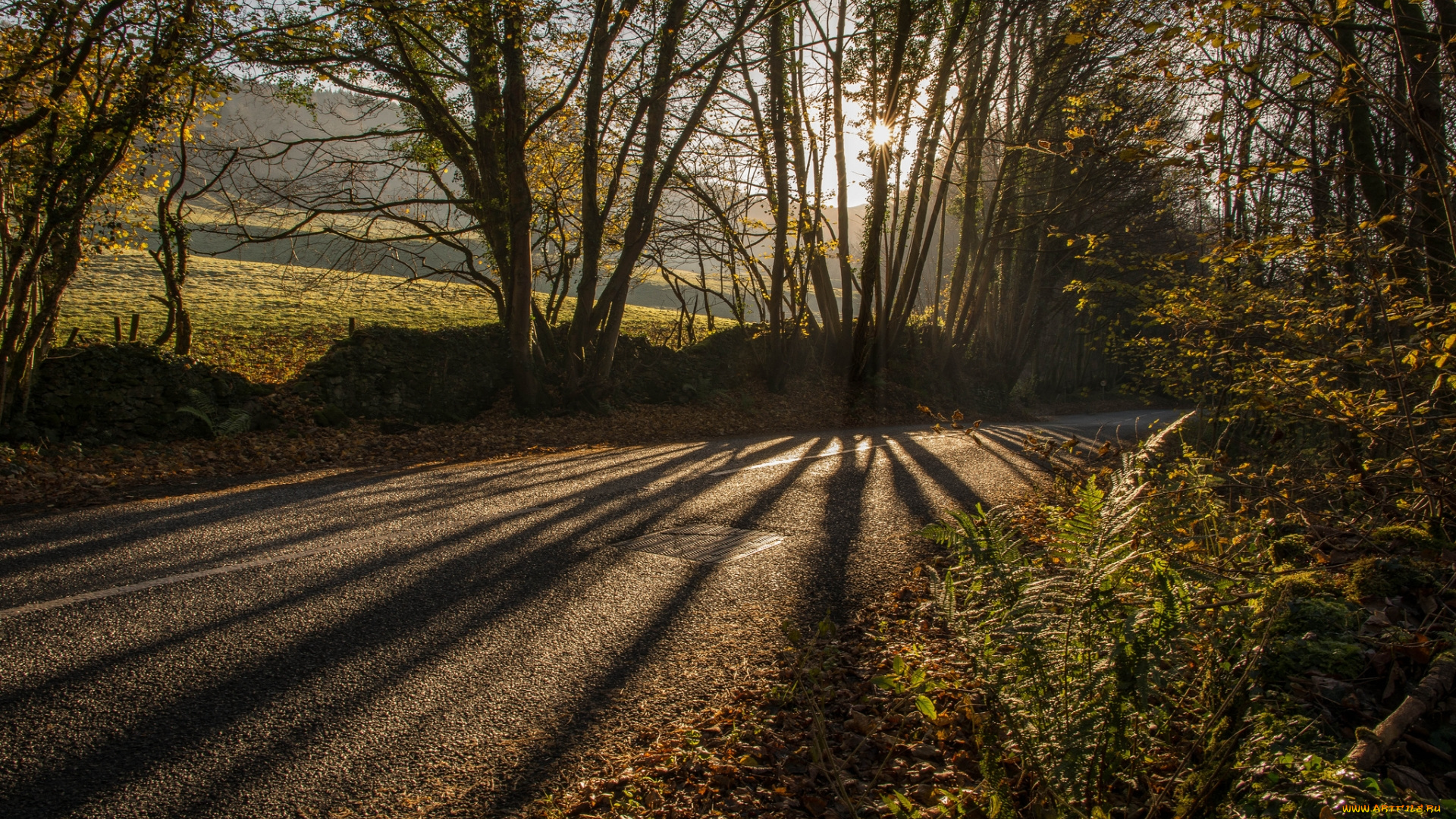 природа, дороги, деревья, дорога, осень