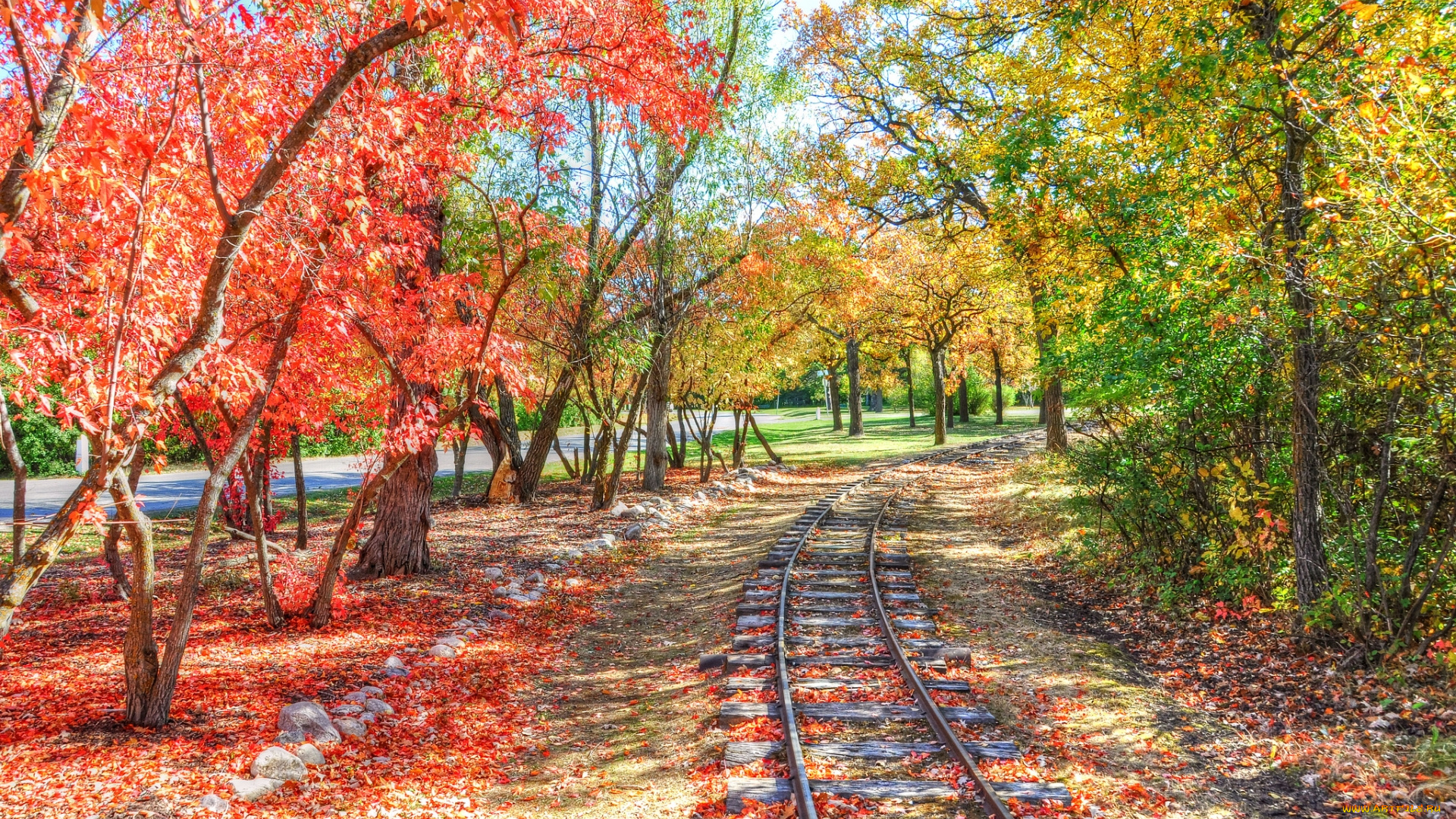 природа, дороги, рельсы, осень, листья, деревья