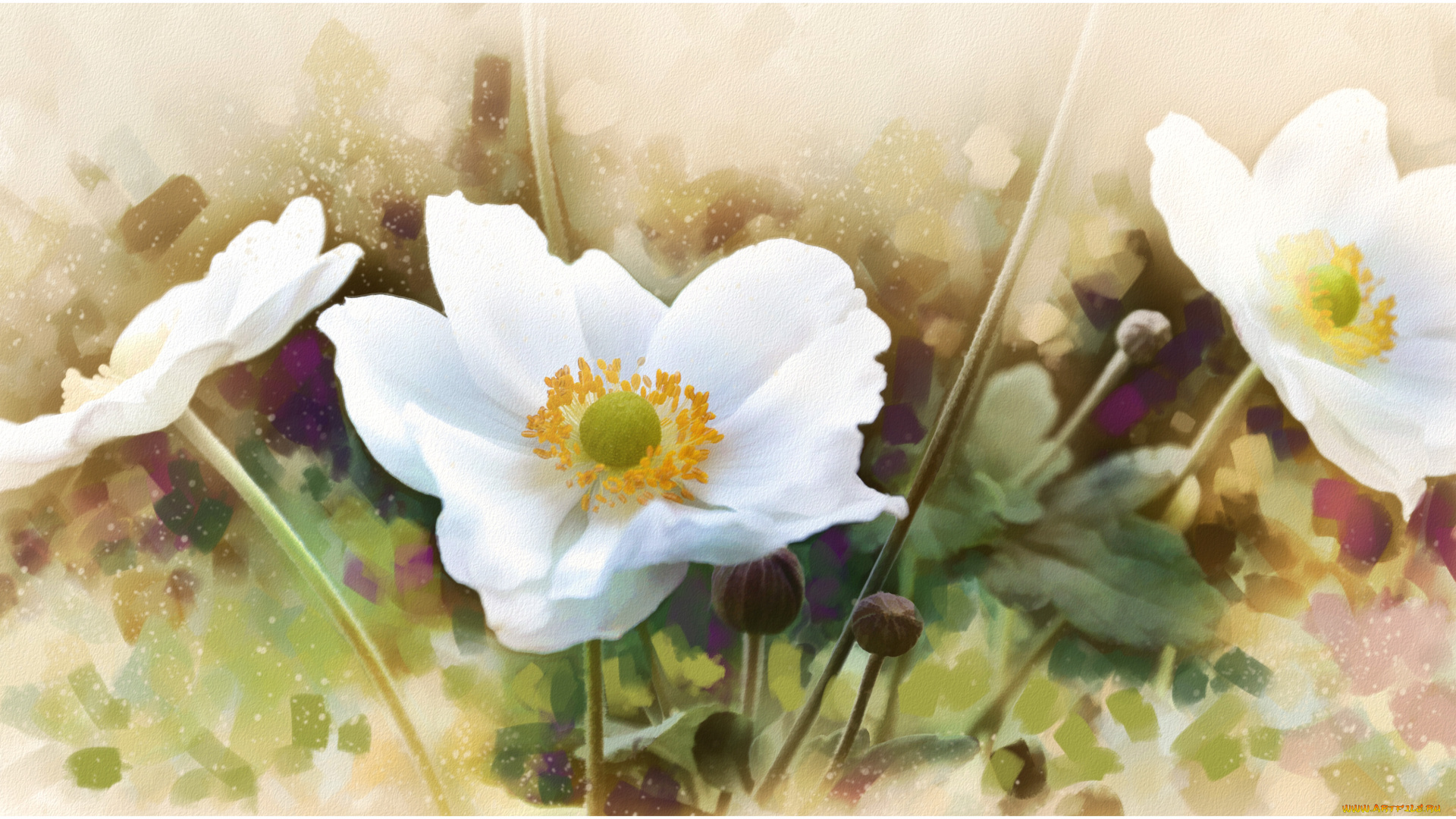 рисованные, цветы