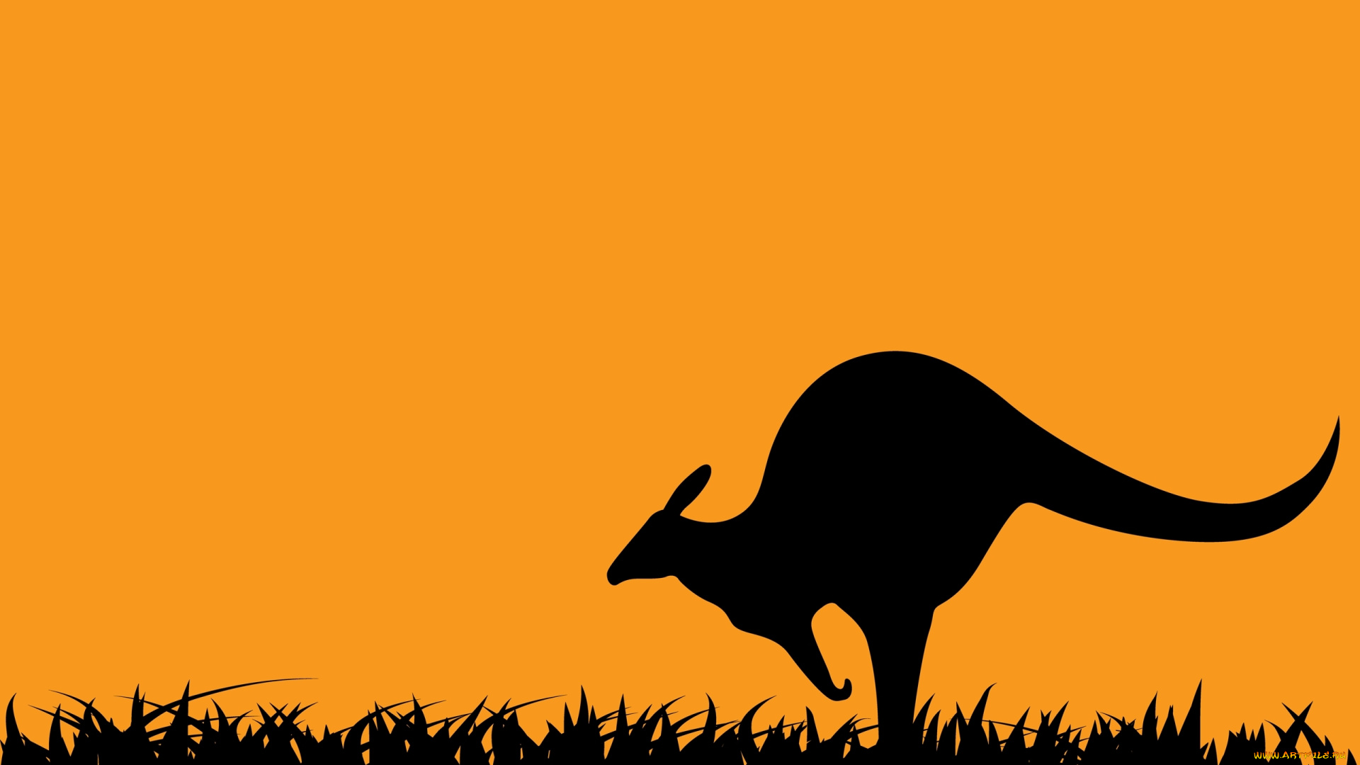 рисованные, животные, , кенгуру, кенгору