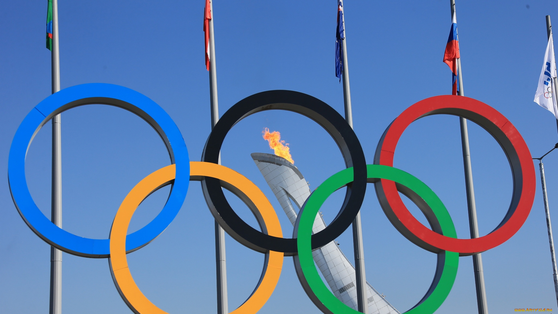 спорт, логотипы, турниров, кольца, континенты, олимпиада, сочи, огонь