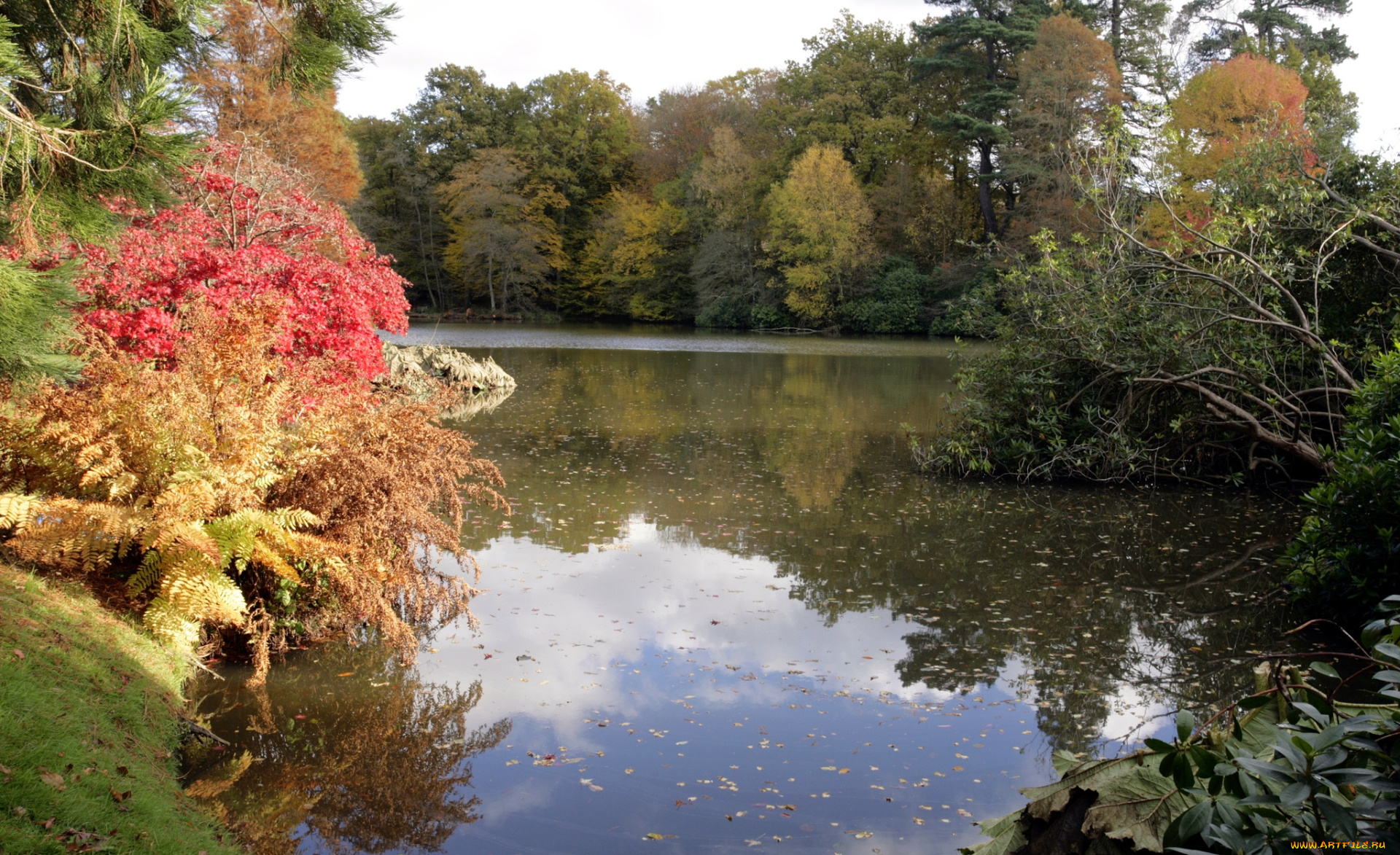 природа, реки, озера, осень, деревья, озеро