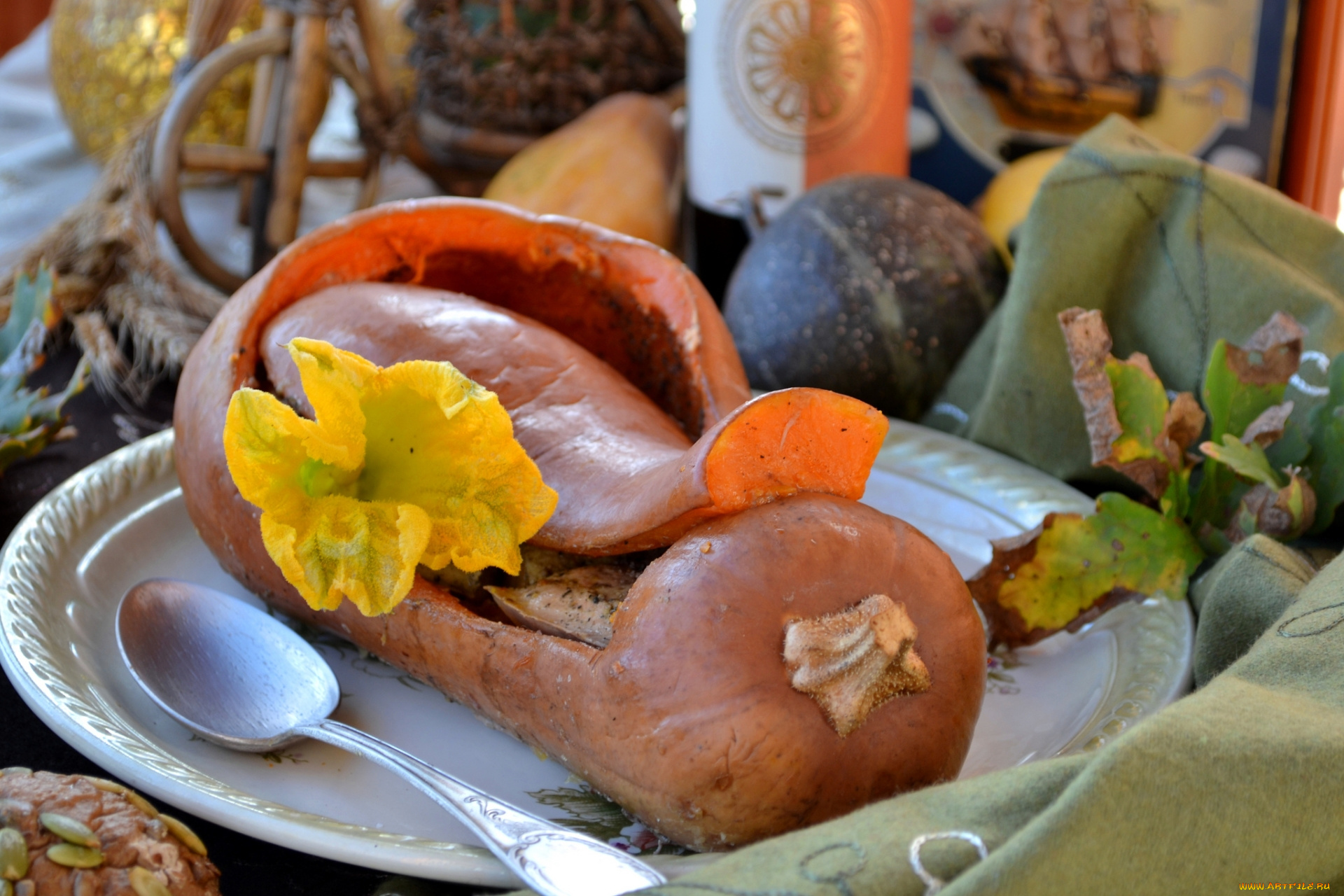 еда, тыква, цветок