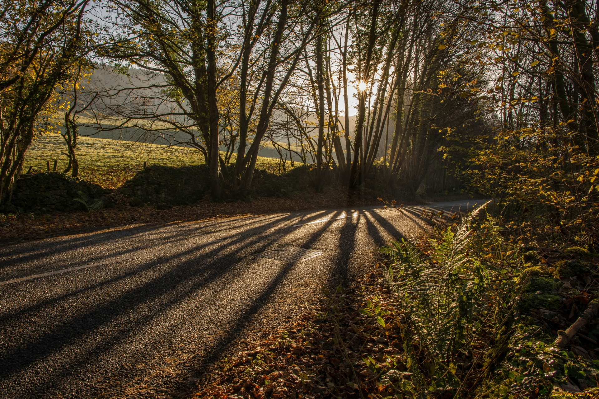природа, дороги, деревья, дорога, осень