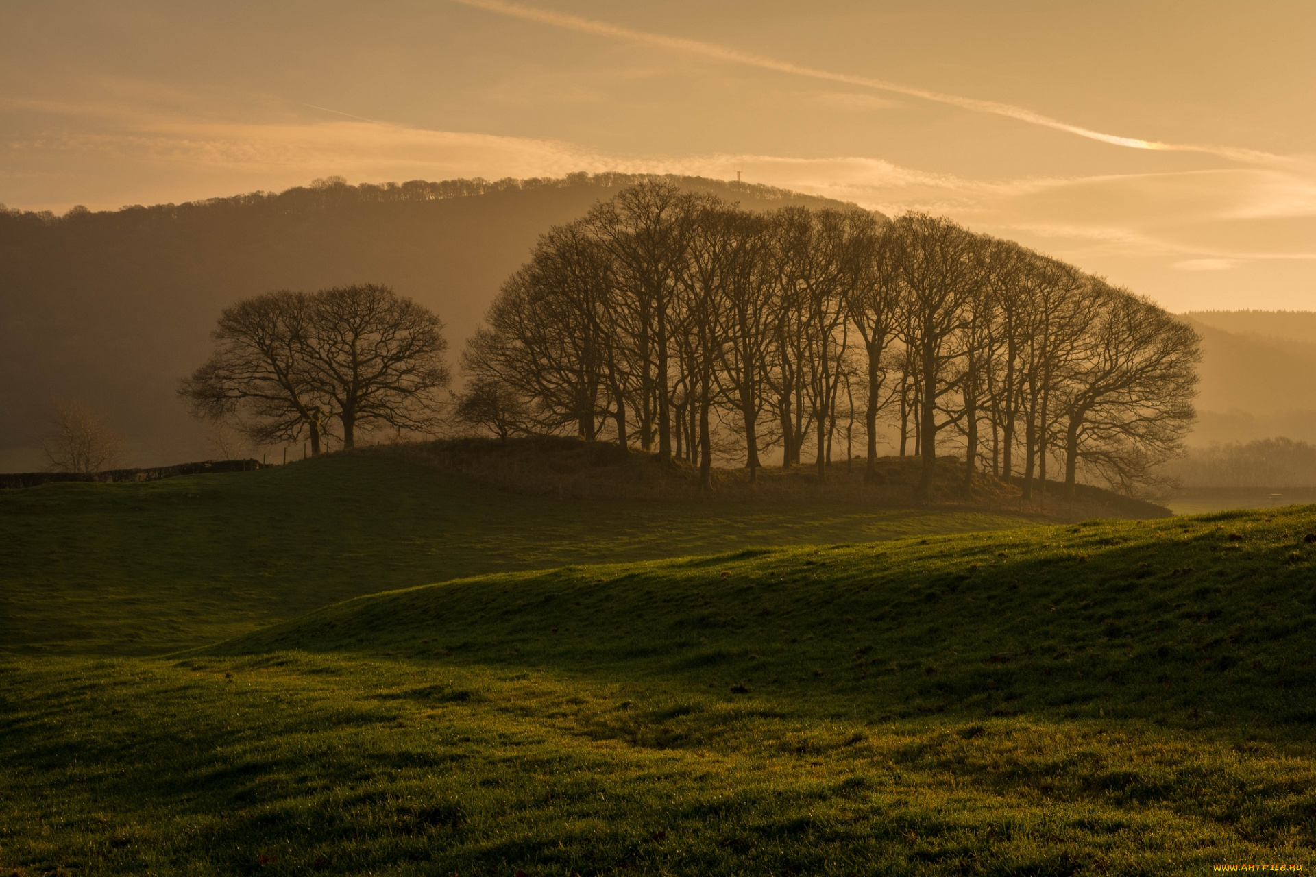 природа, поля, осень, деревья, поле