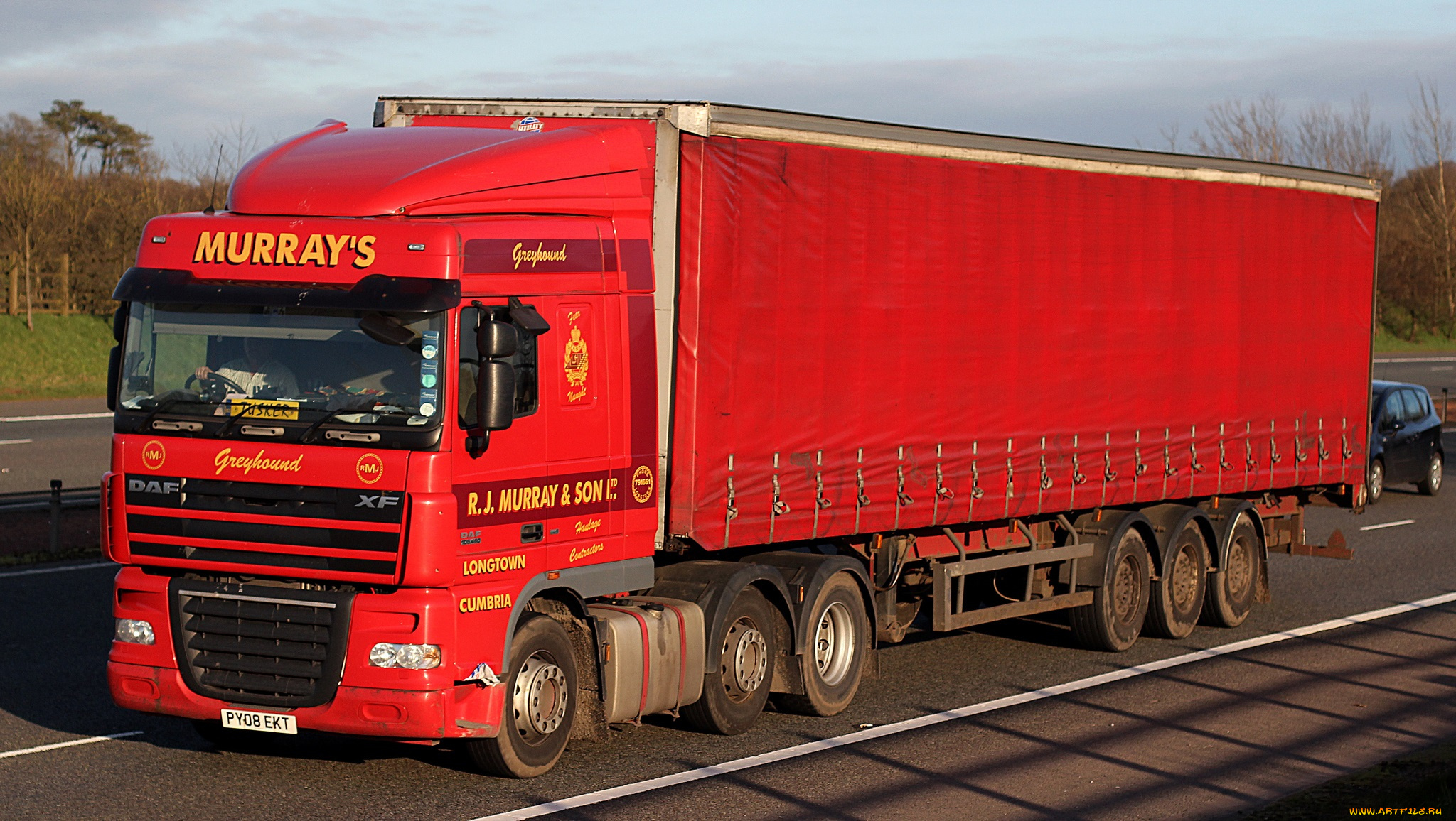 daf, автомобили, daf, , выставка, улица, тягачи, шасси, автобусы, нидерланды, седельные, nv, trucks