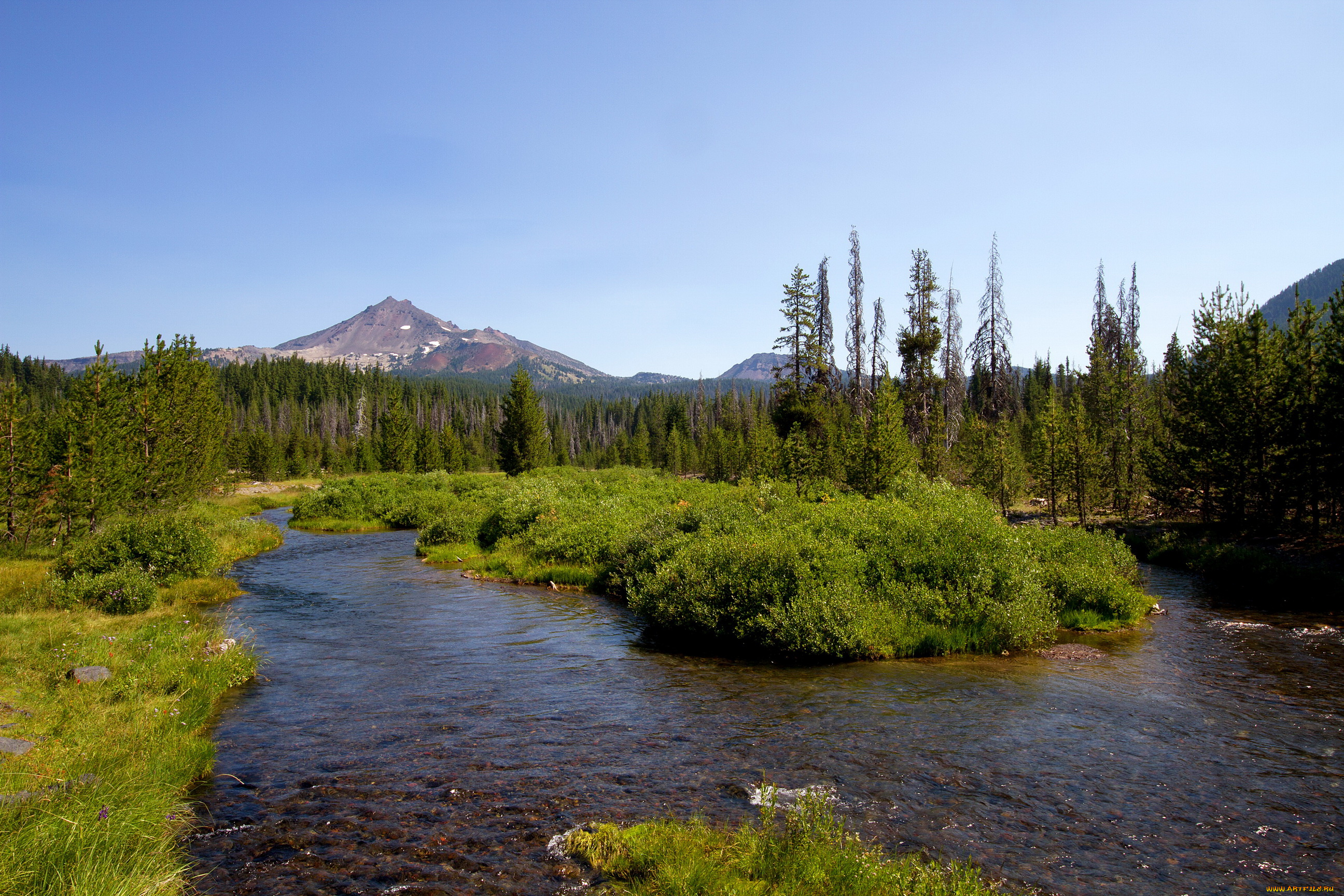 природа, реки, озера, ели, лес, озеро, калифорния