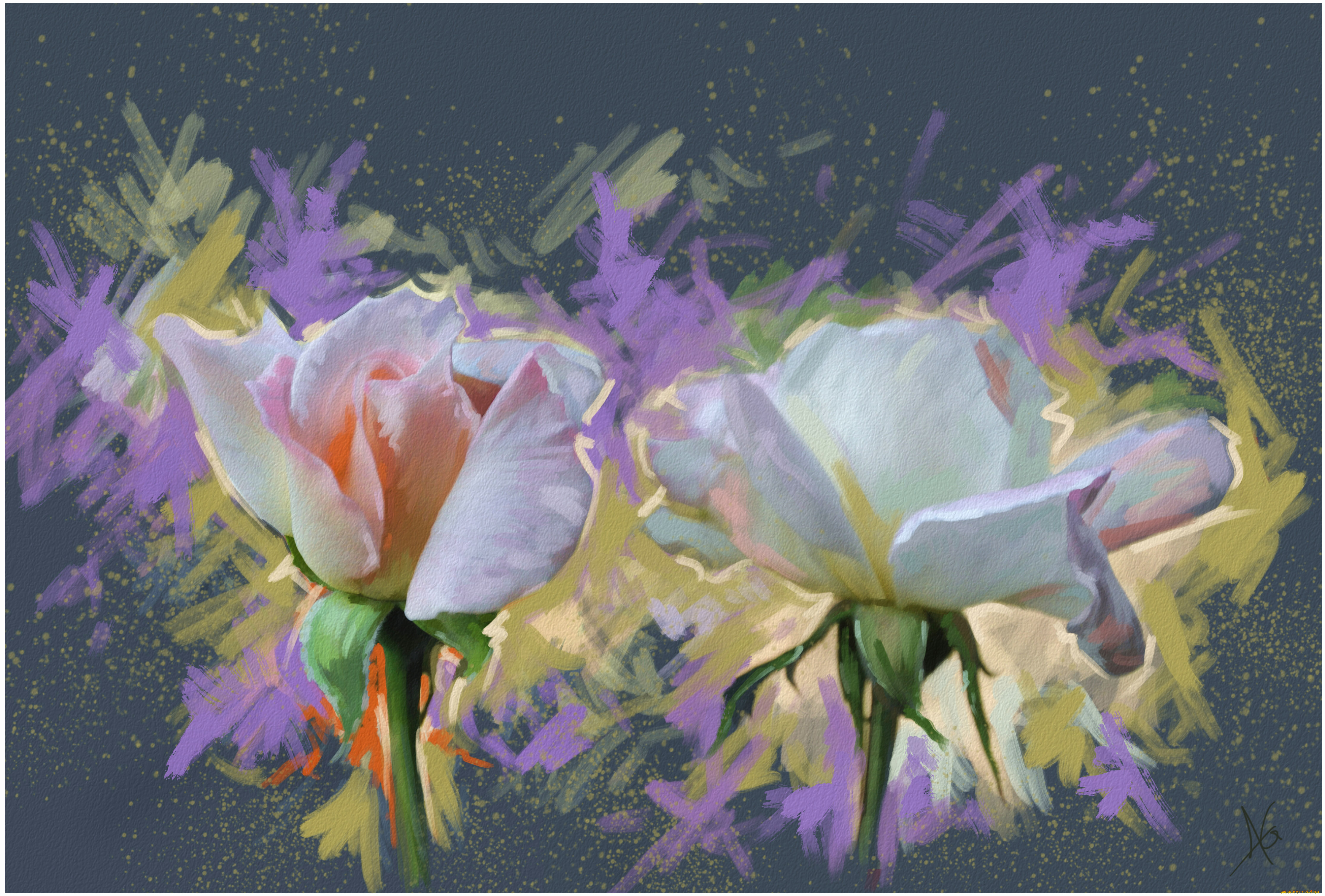 рисованные, цветы, розы