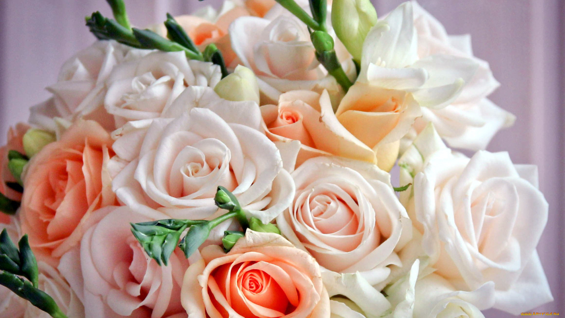 цветы, букеты, , композиции, фрезии, розы