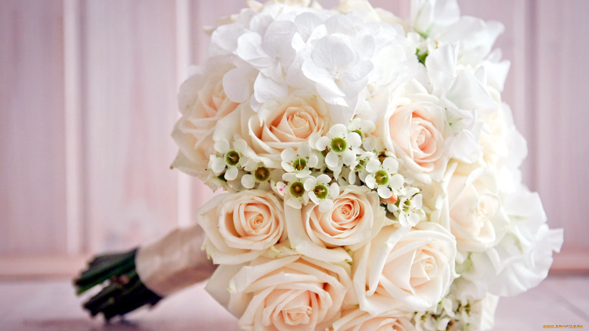 цветы, букеты, , композиции, гортензия, розы