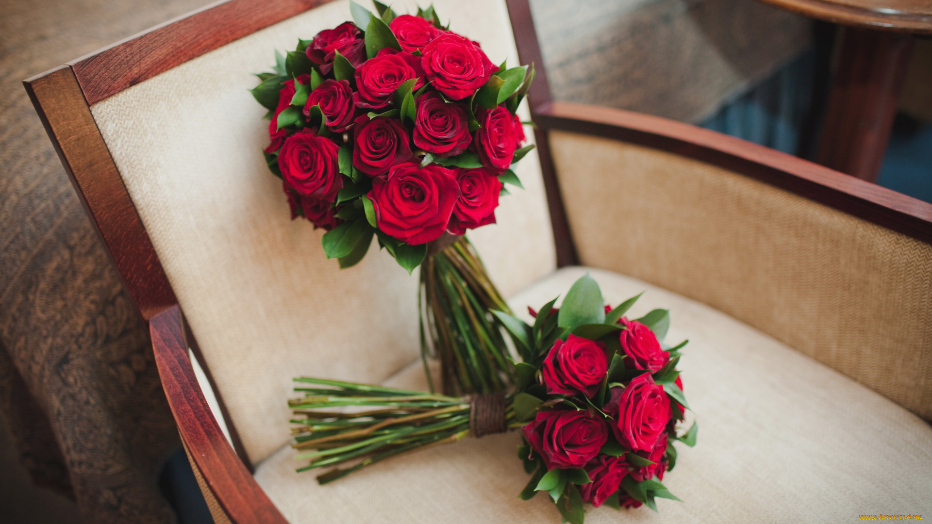 цветы, розы, бордо