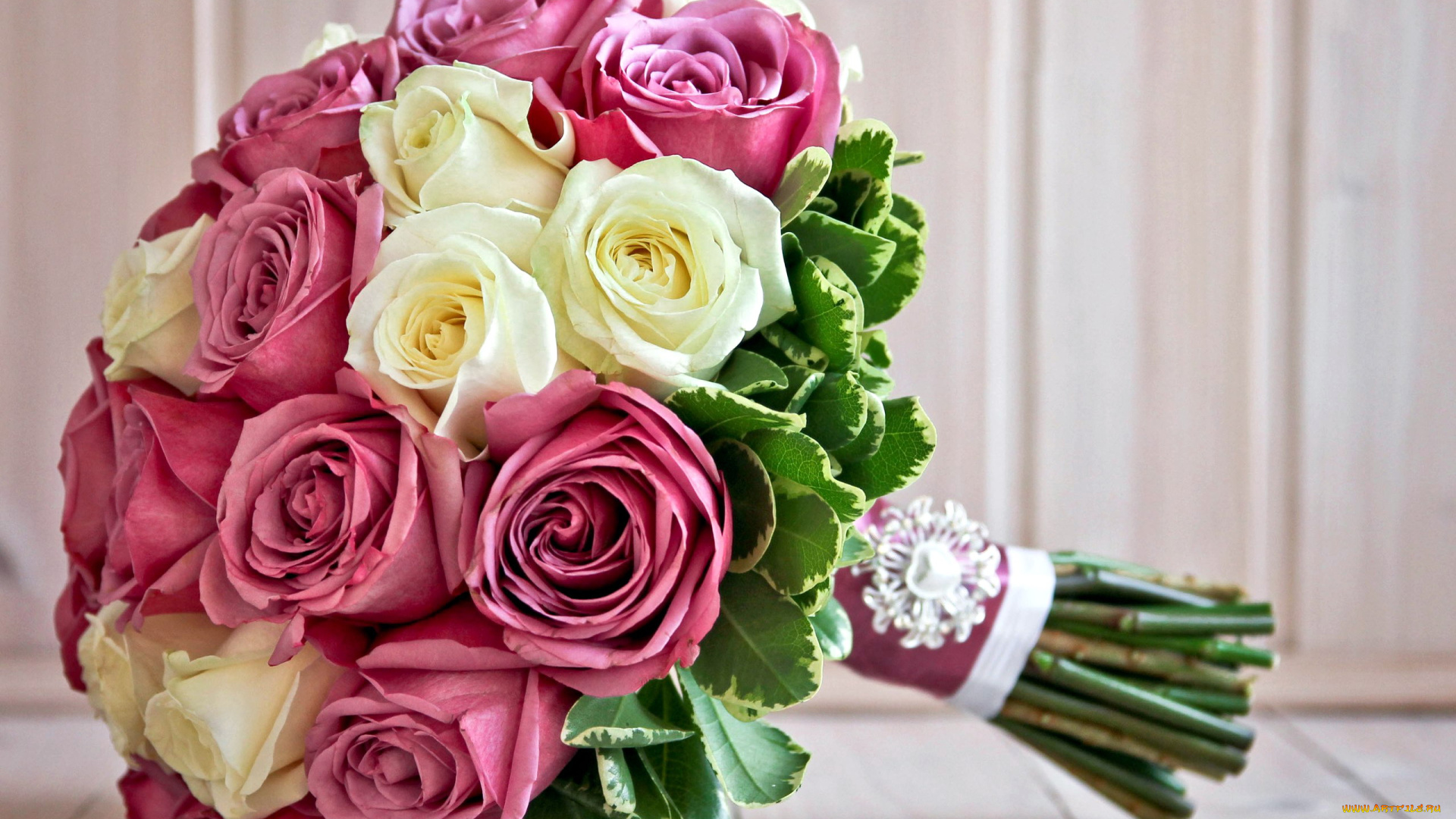 цветы, розы, кремовый, розовый