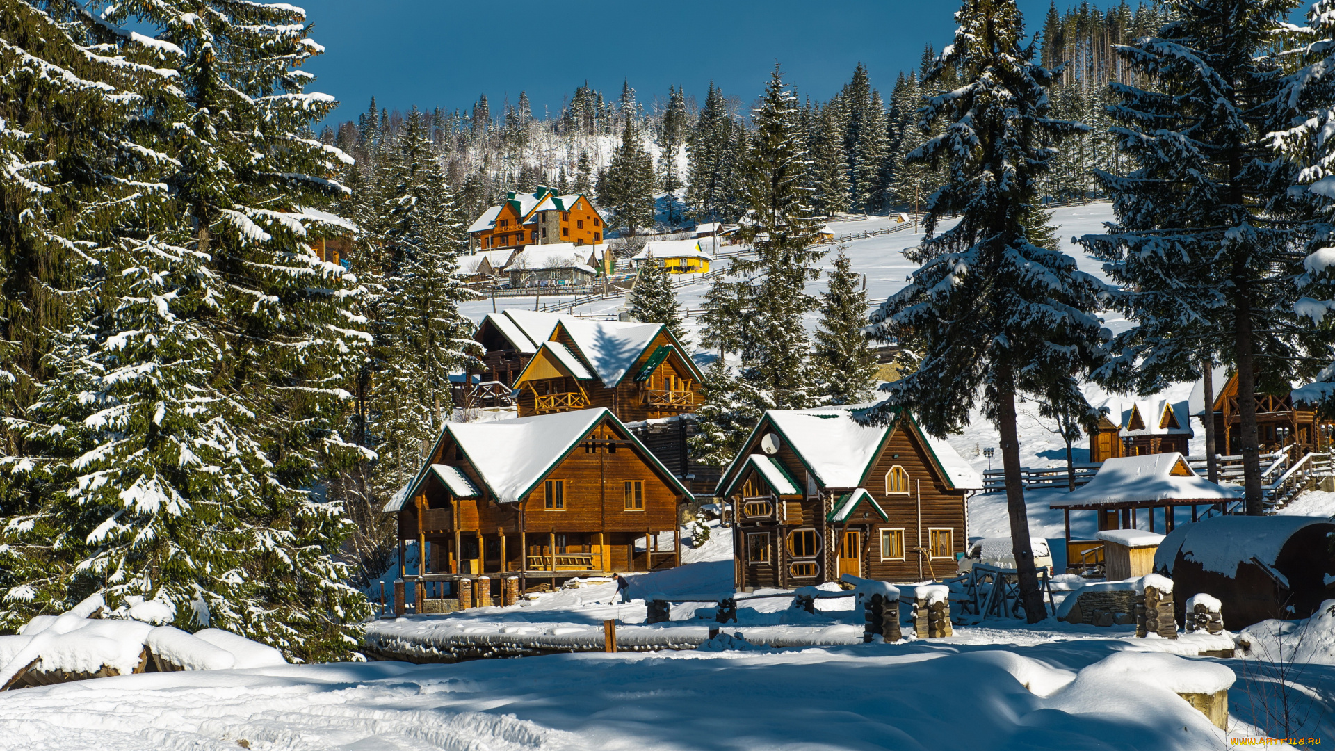 карпаты, украина, города, -, здания, , дома, снег, дома, украина, карпаты, зима, ели