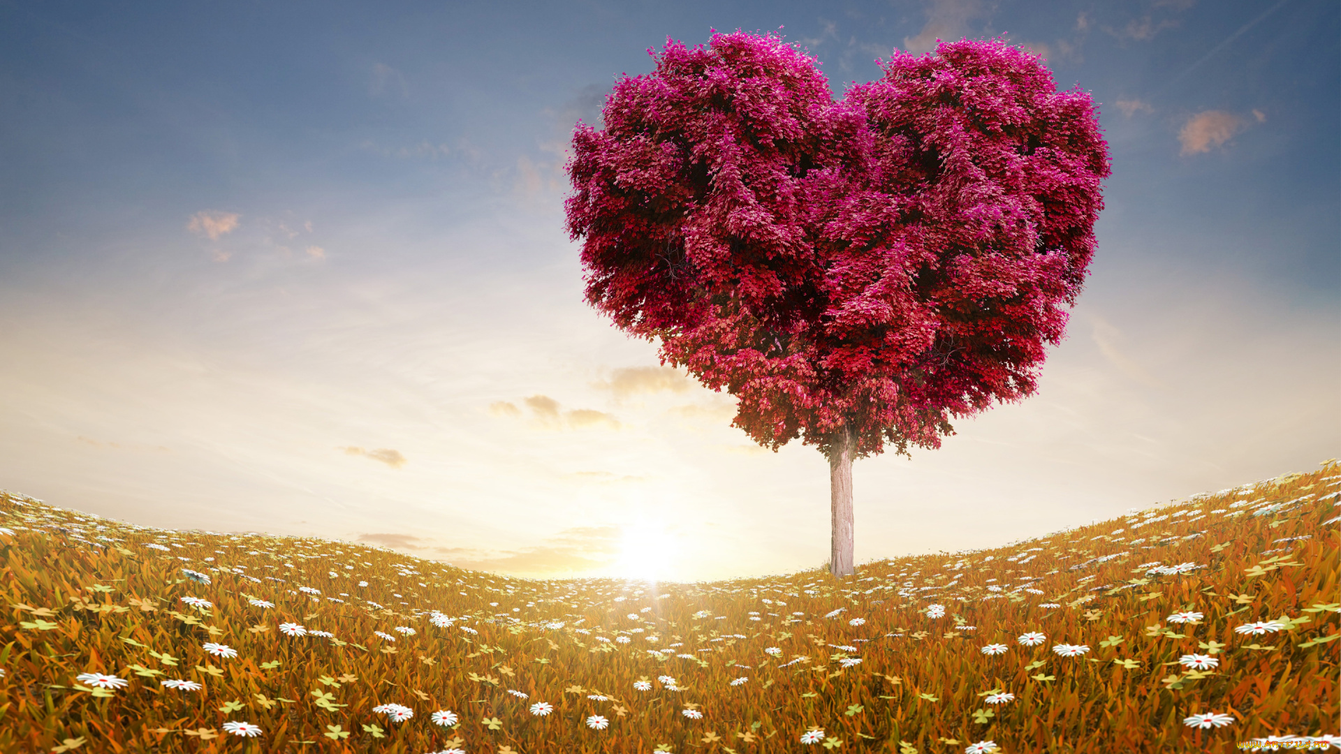 разное, компьютерный, дизайн, дерево