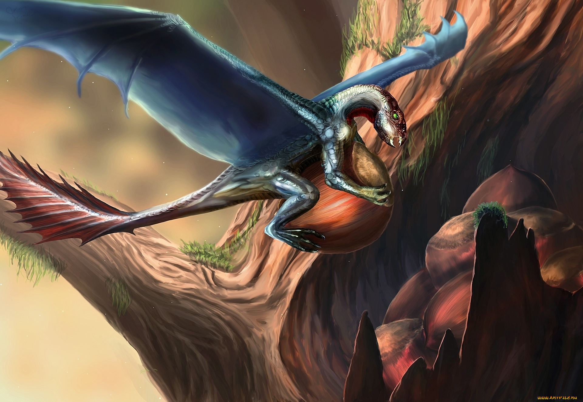 фэнтези, драконы, дерево, иной, мир, орехи, дракон