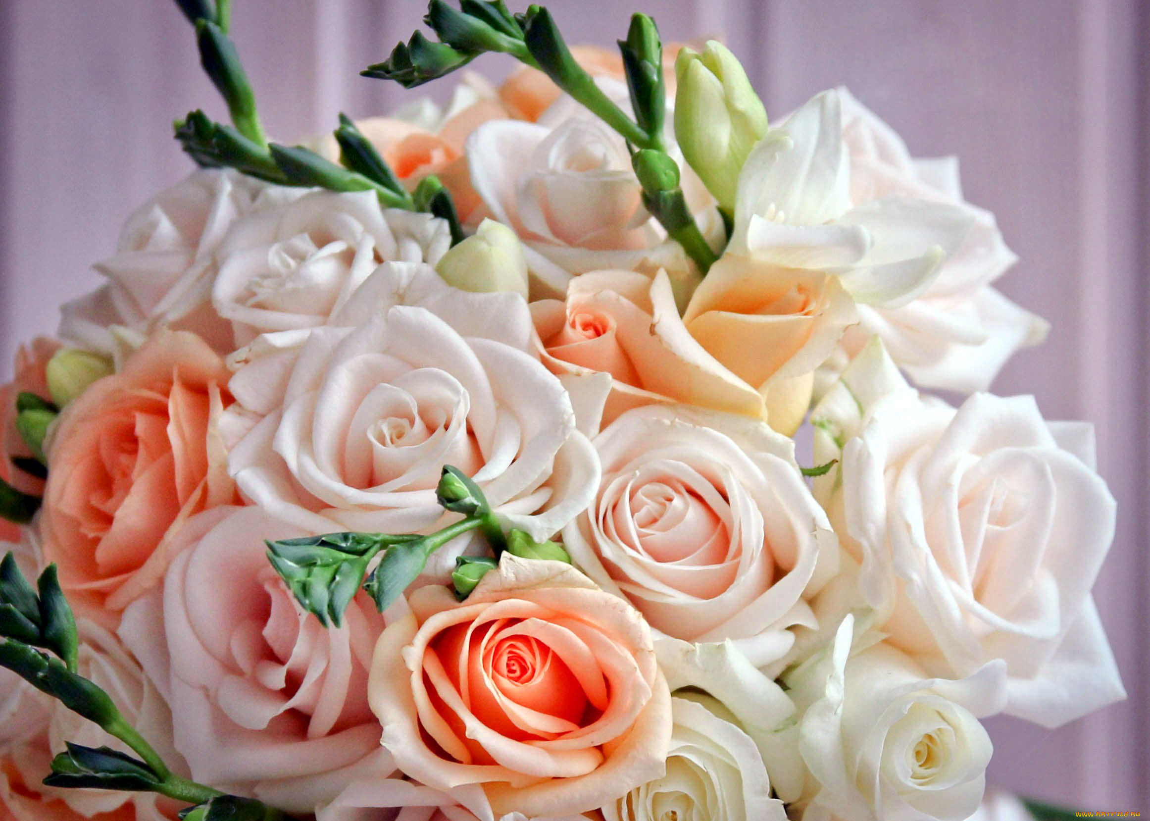 цветы, букеты, , композиции, фрезии, розы