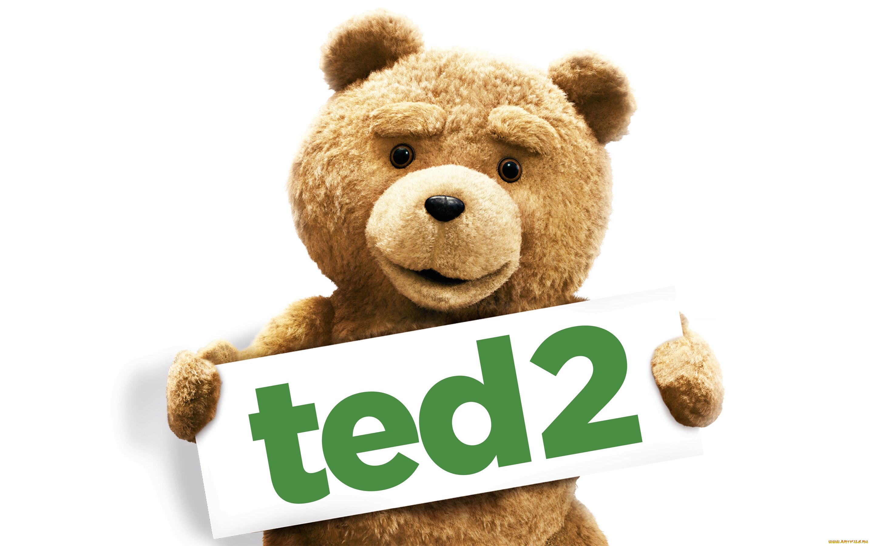 кино, фильмы, ted, 2, ted, 2