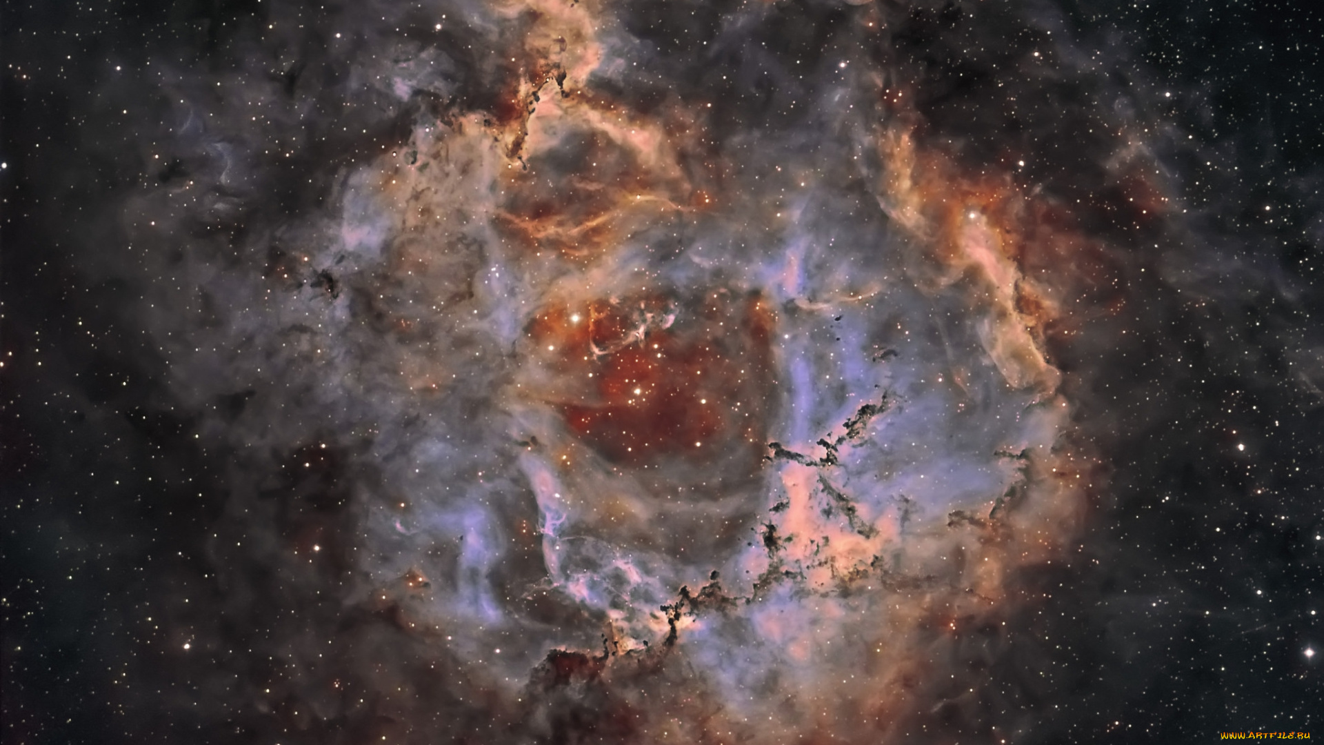 ngc2237, rosette, nebula, космос, галактики, туманности, туманность
