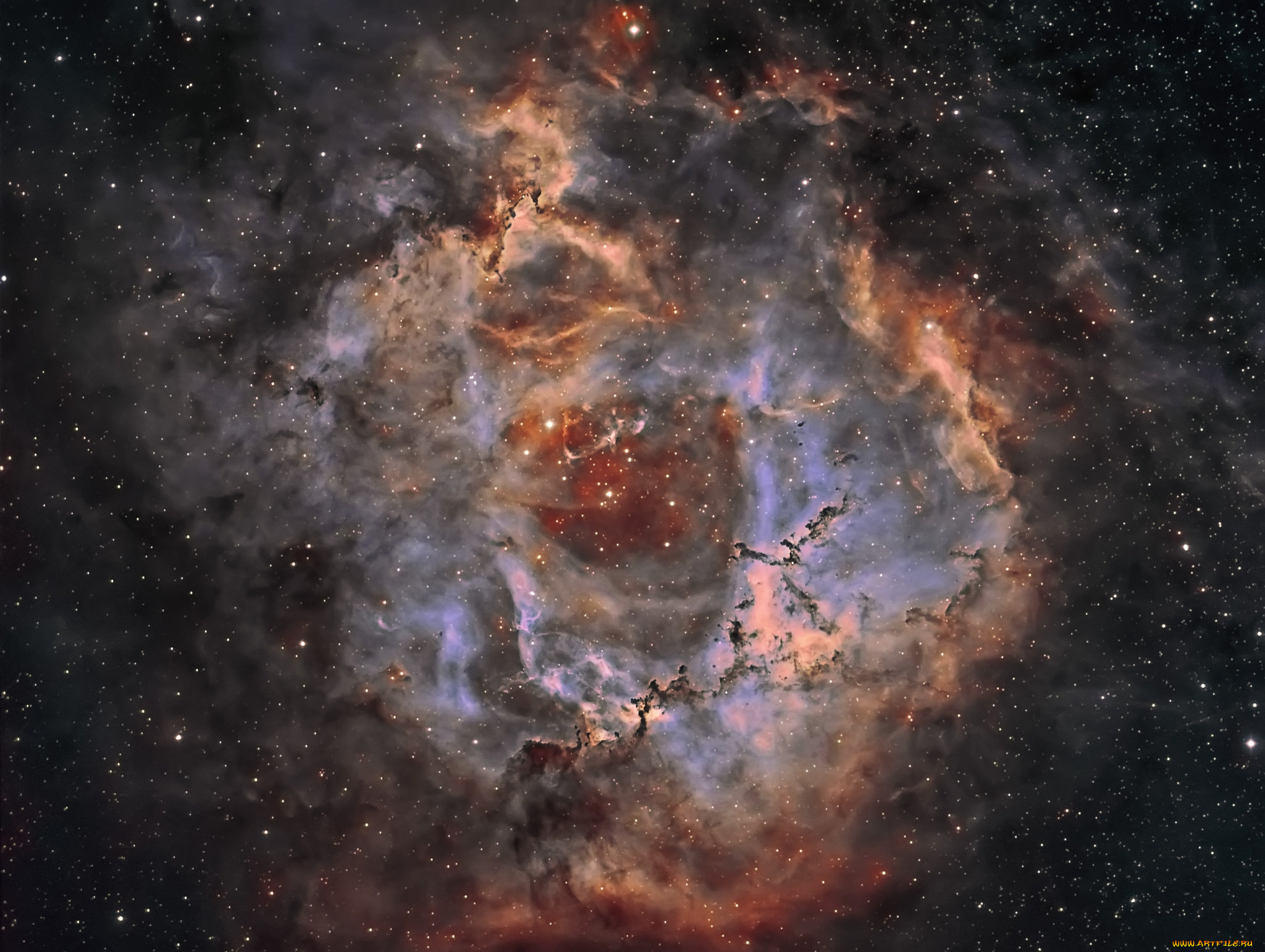 ngc2237, rosette, nebula, космос, галактики, туманности, туманность