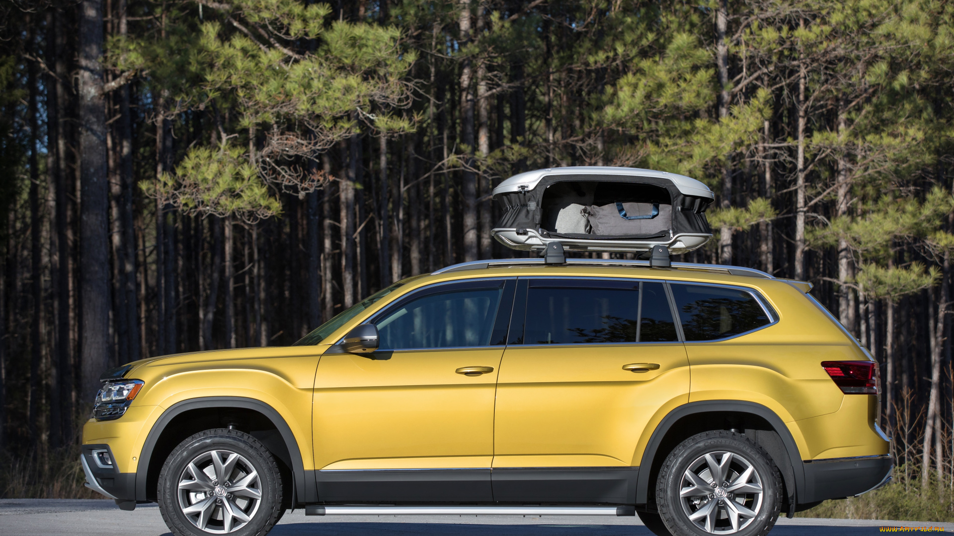 автомобили, volkswagen