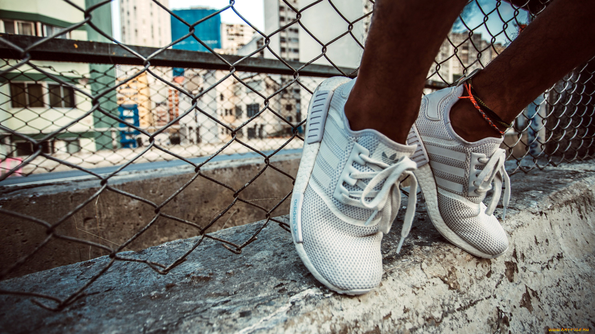 бренды, adidas, кроссовки