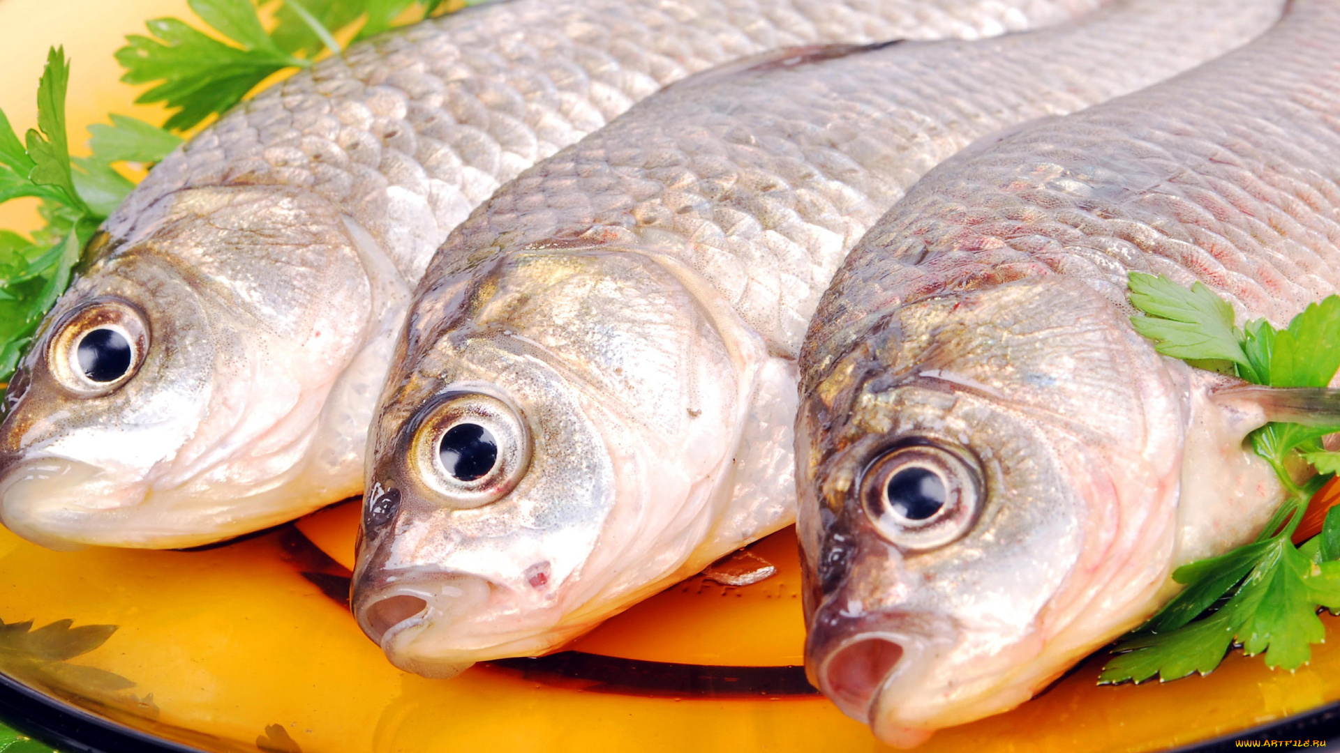 еда, рыба, , морепродукты, , суши, , роллы, свежая