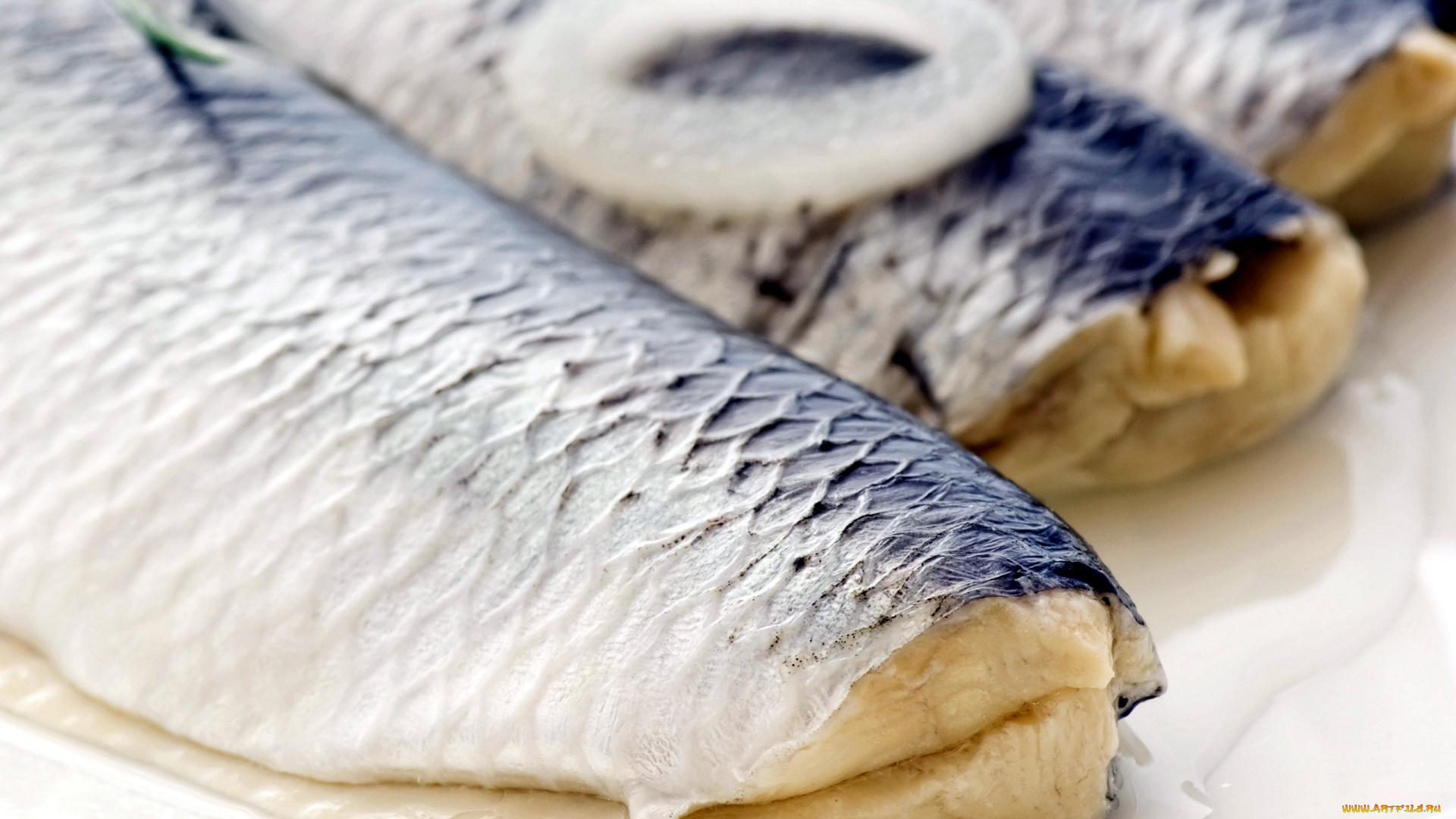 еда, рыбные, блюда, , с, морепродуктами, сельдь