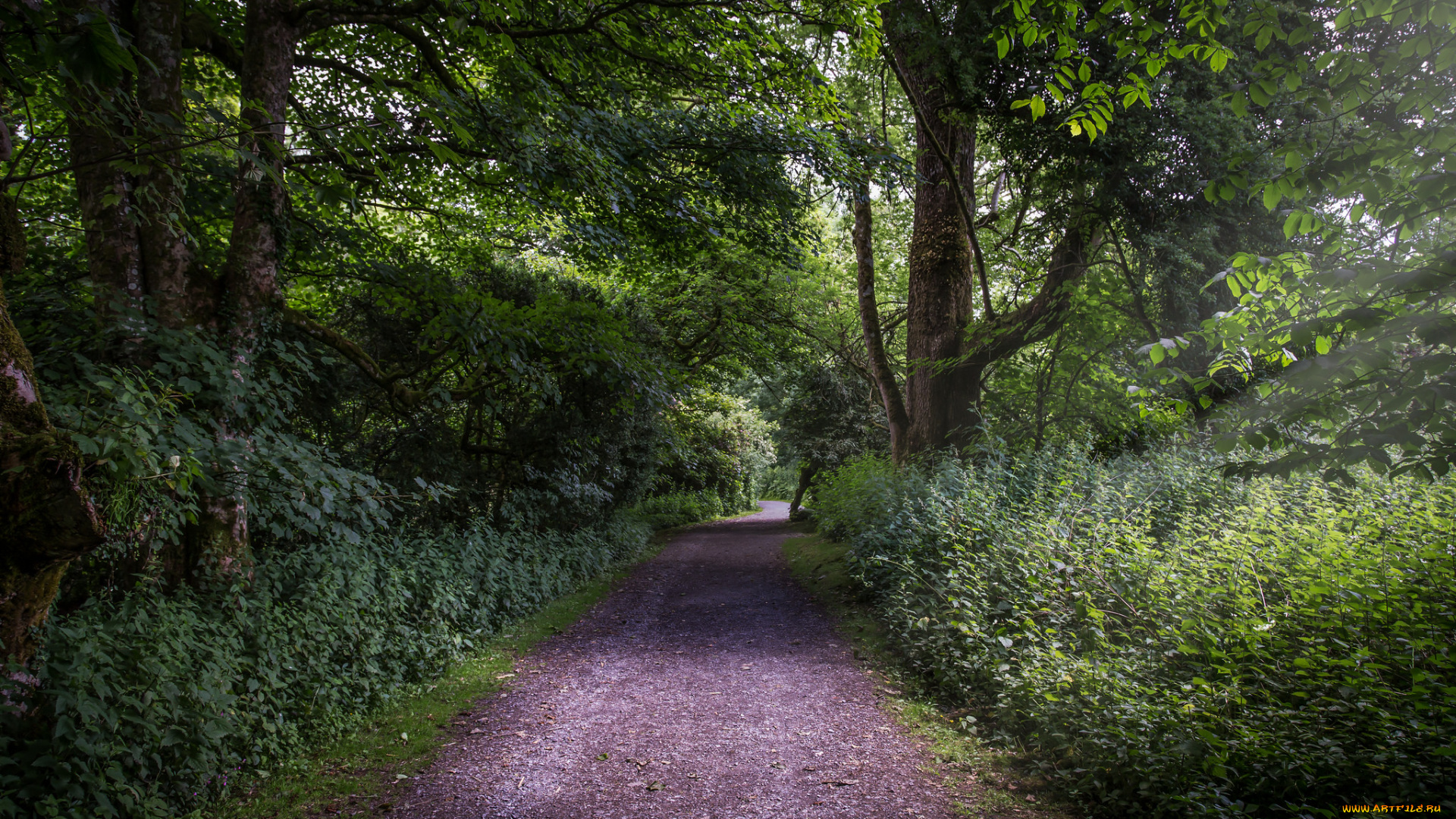 природа, дороги, тракт