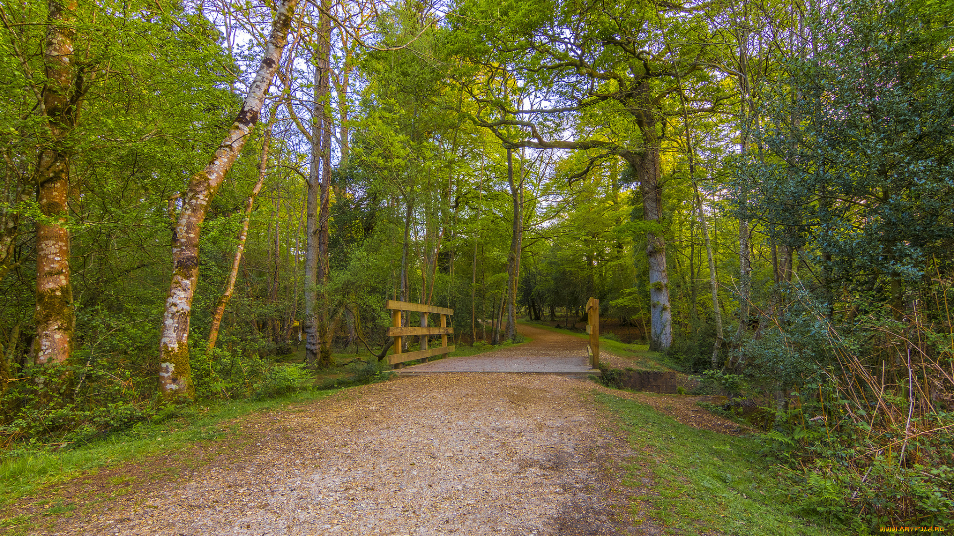 природа, дороги, тракт