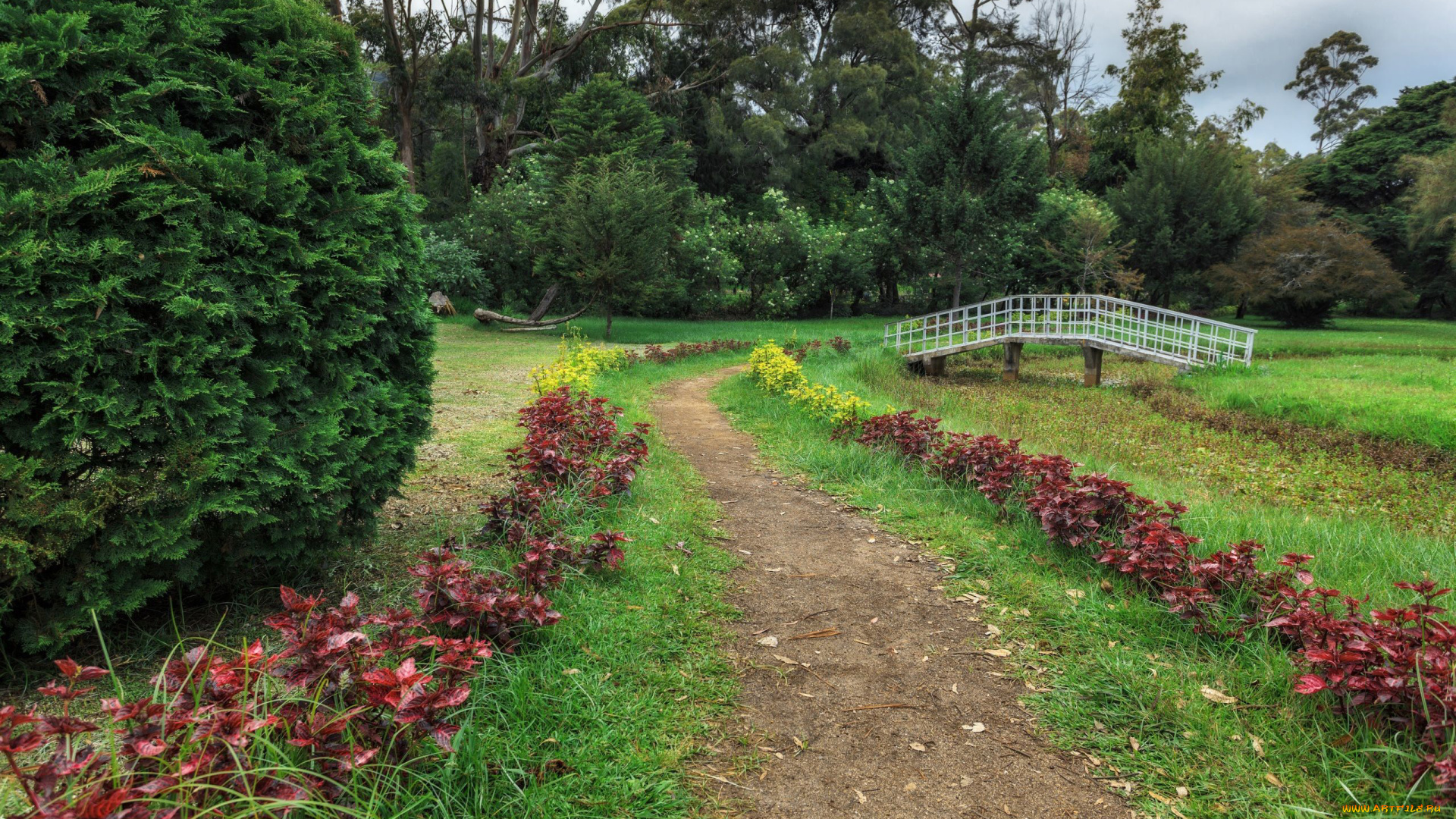 природа, парк, трава, дорожка, мостик