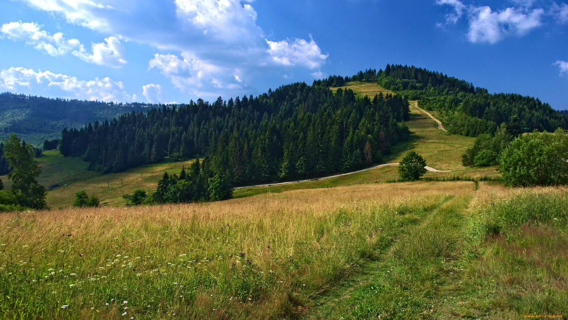 природа, пейзажи, лес, облака, холмы