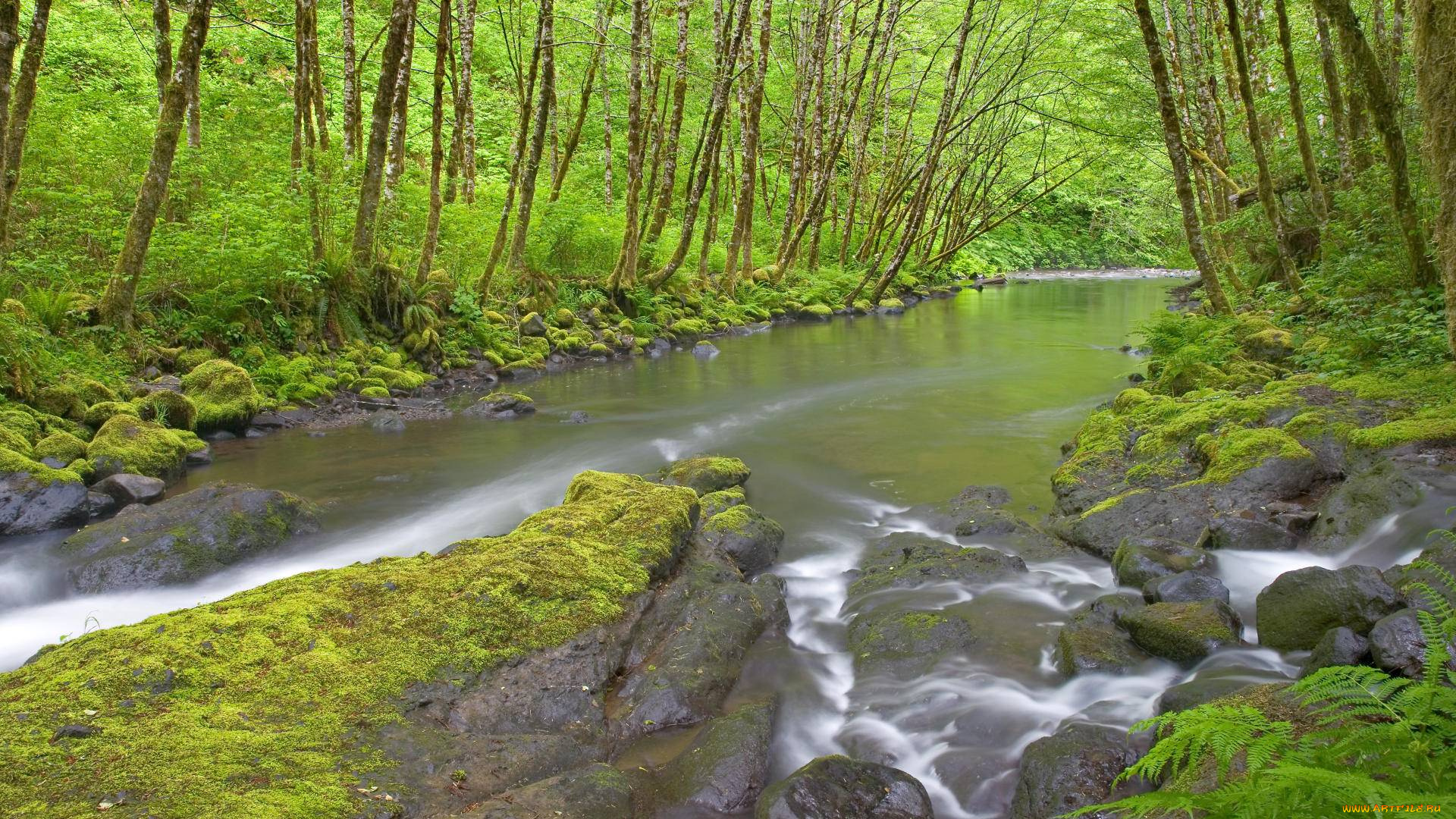 природа, реки, озера, камни, поток