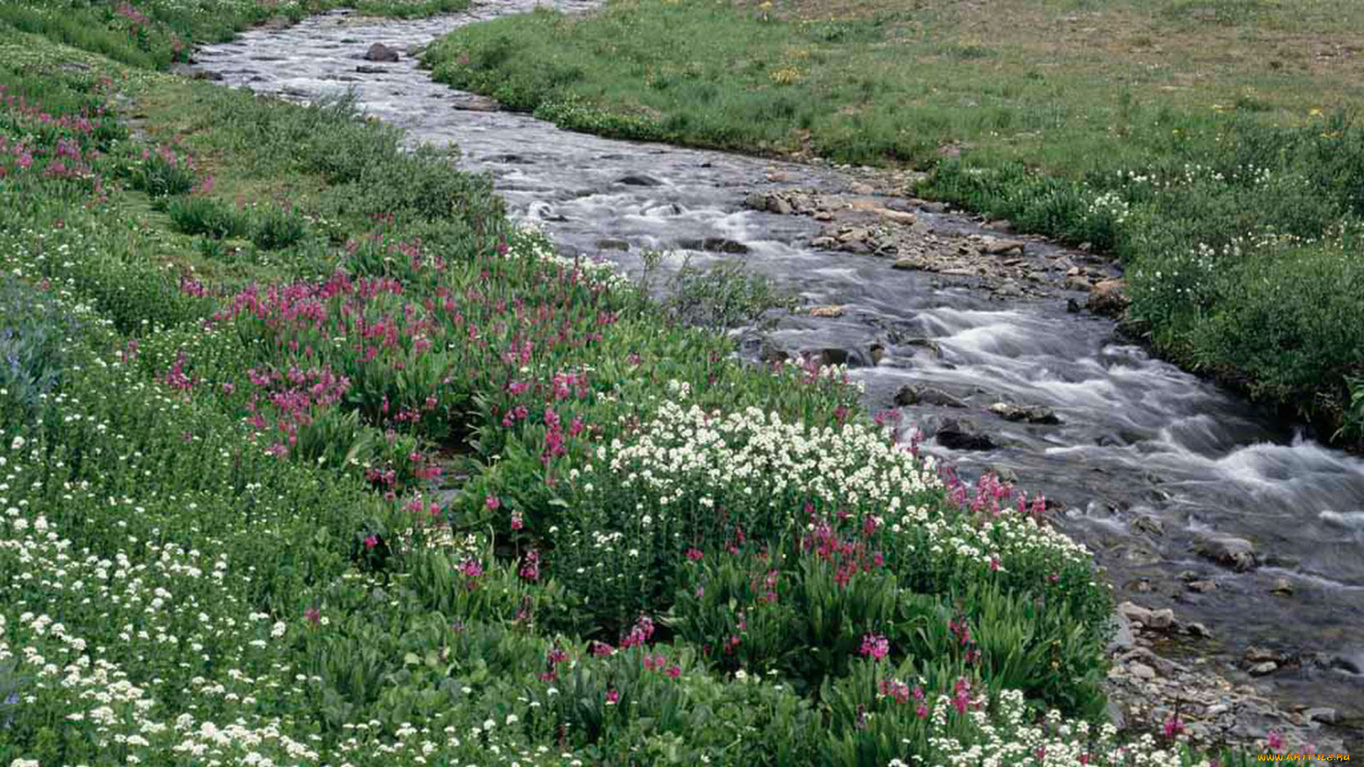 природа, реки, озера, поток, камни