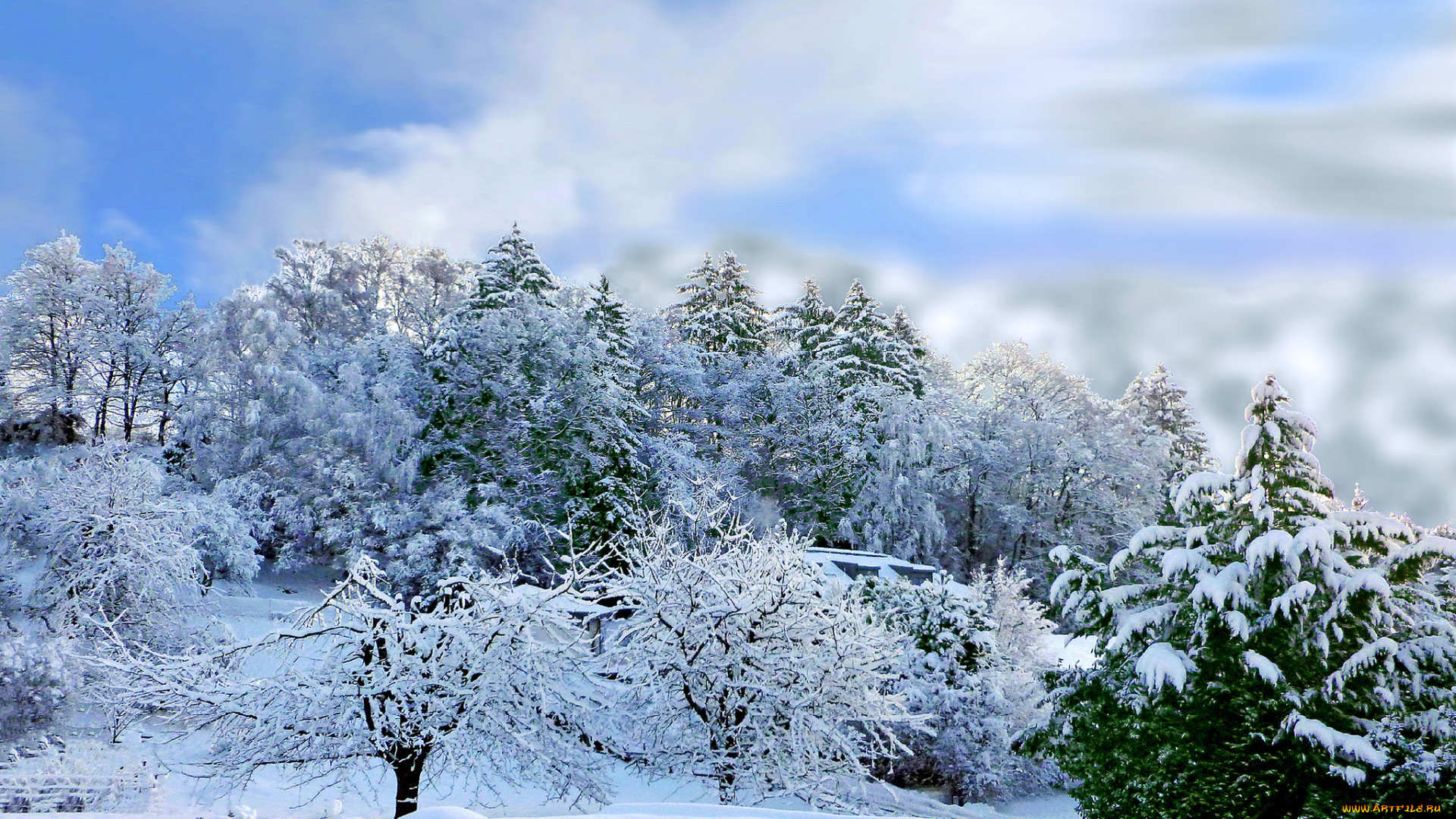 природа, зима, снег