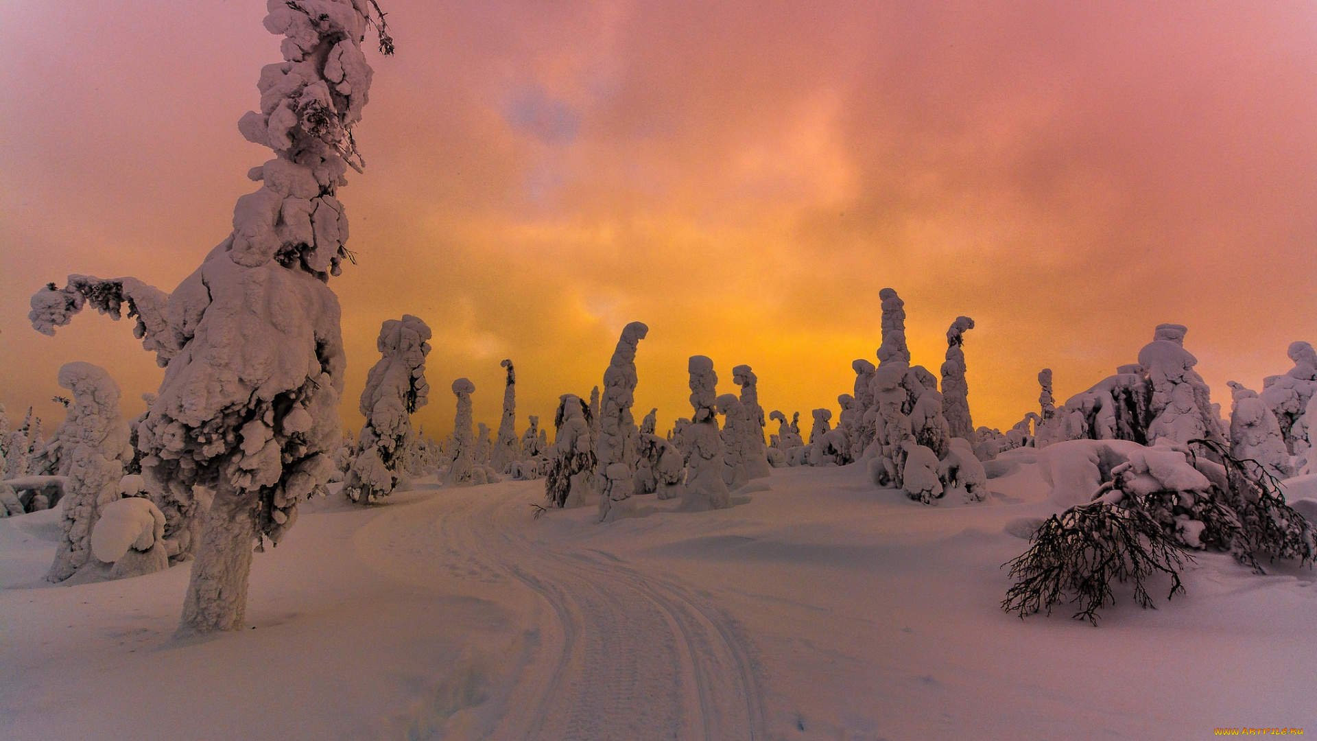 природа, зима, снег