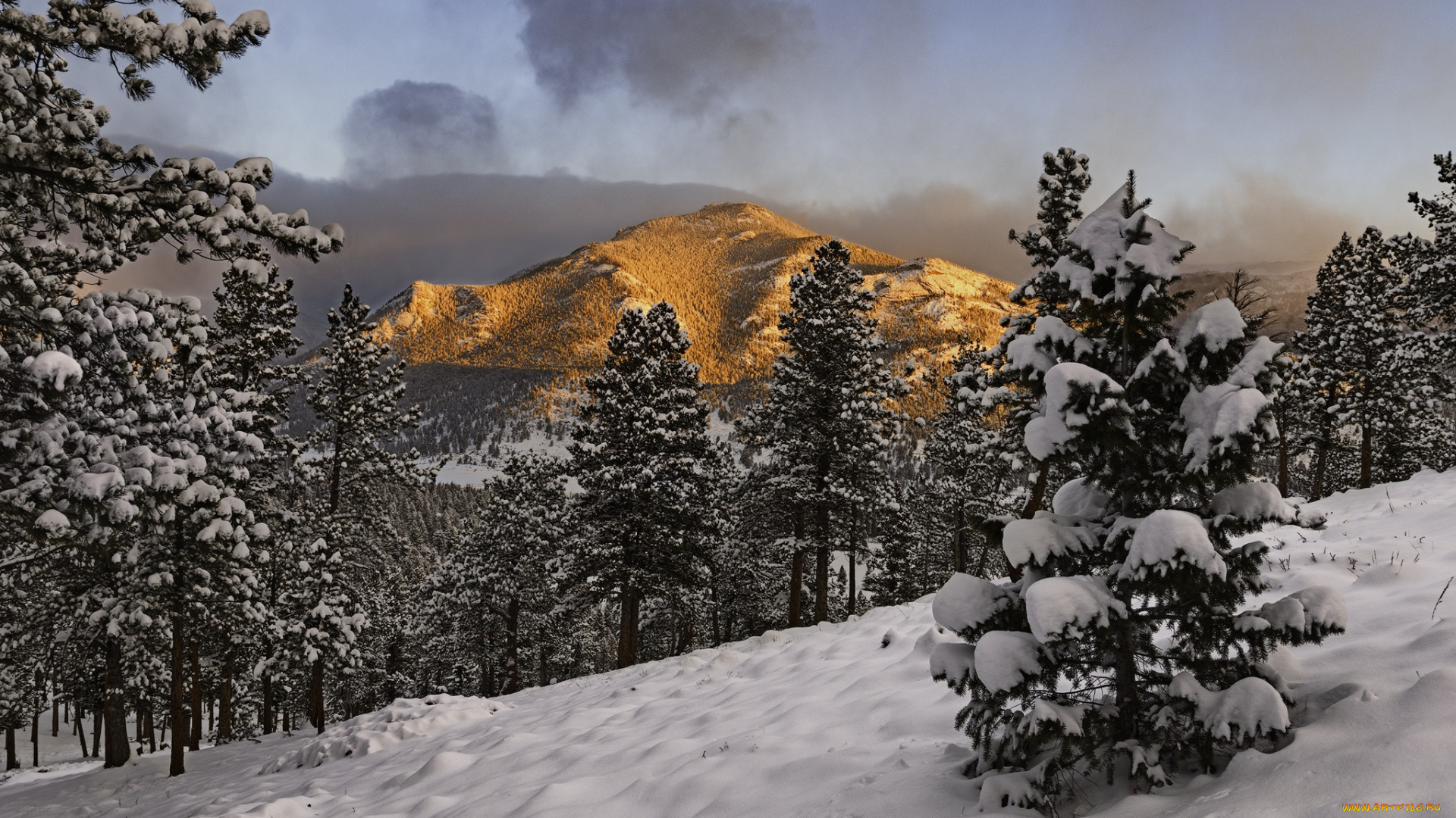 природа, зима, снег