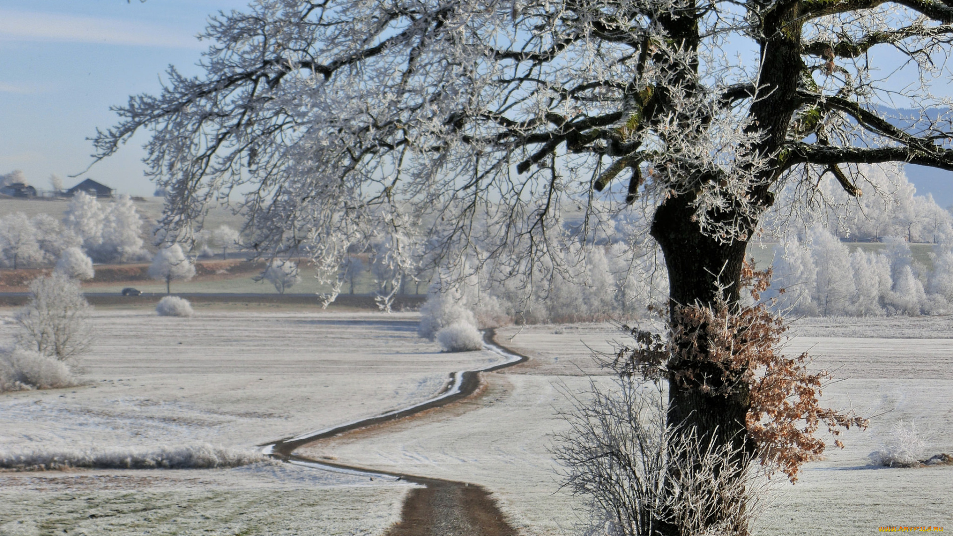 природа, зима, снег