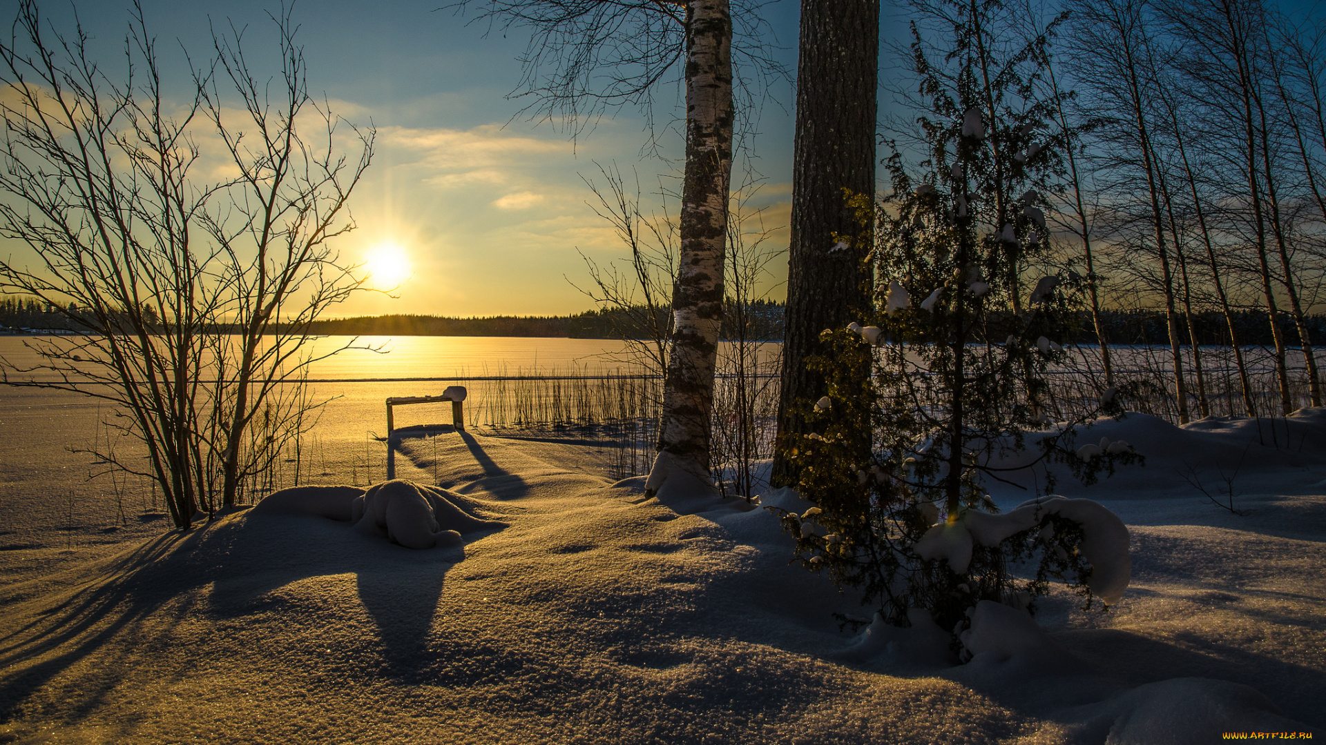 природа, зима, снег