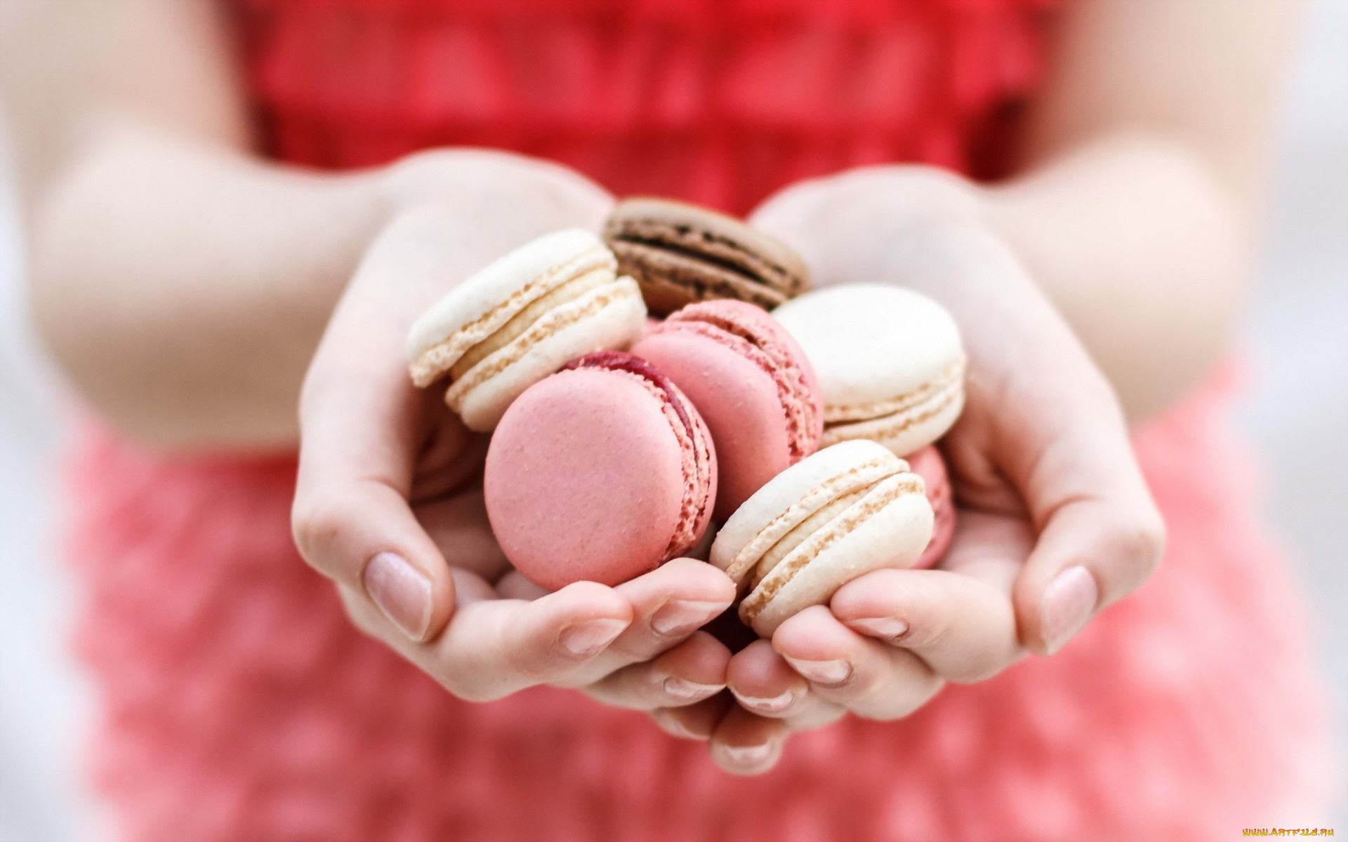 еда, макаруны, лакомство