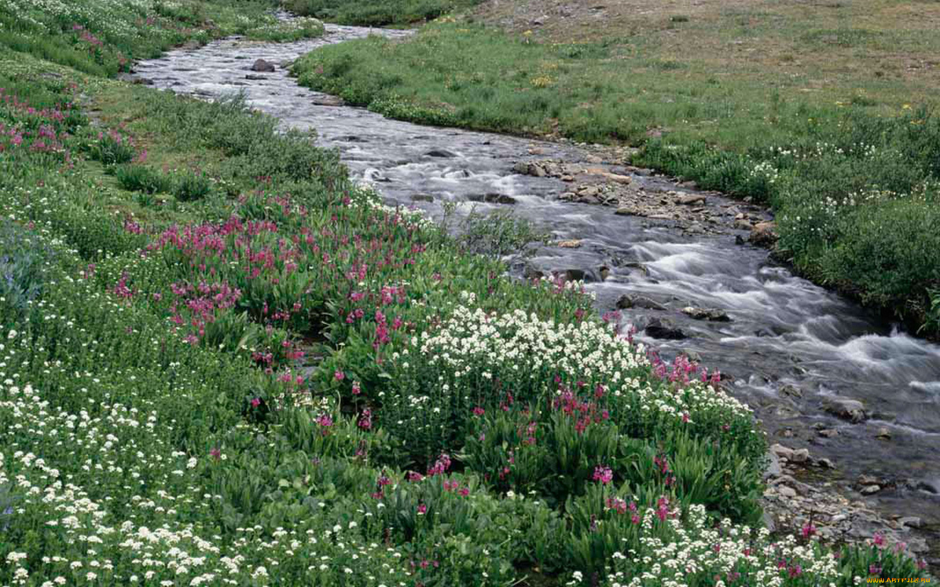 природа, реки, озера, поток, камни