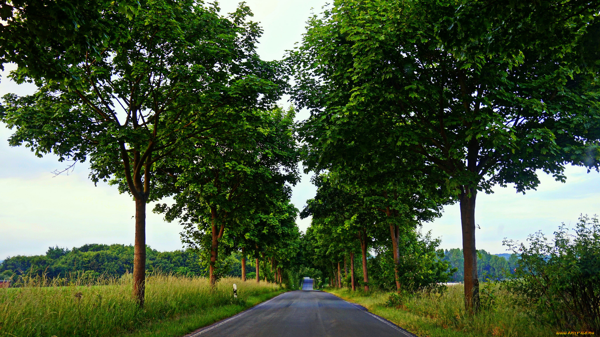 природа, дороги, тракт