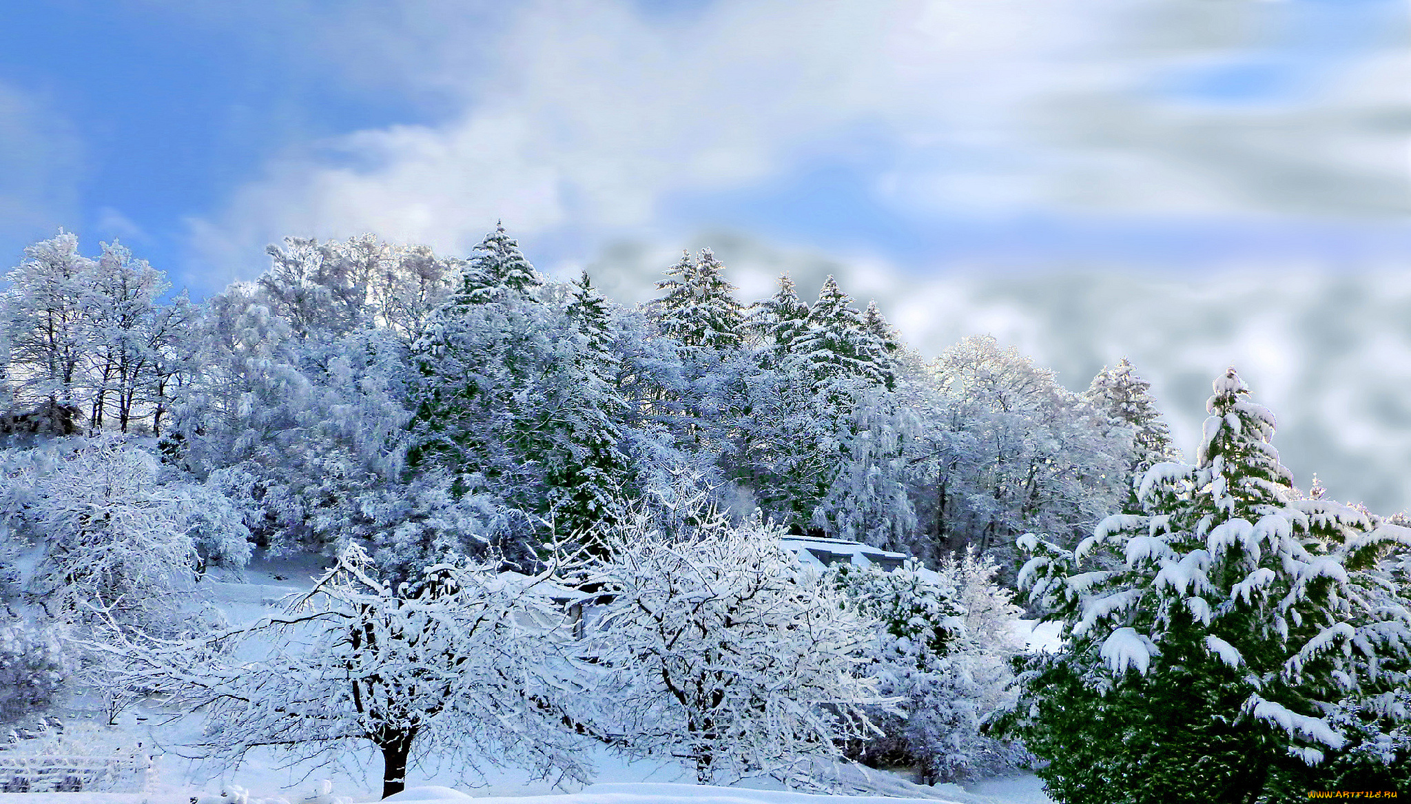 природа, зима, снег