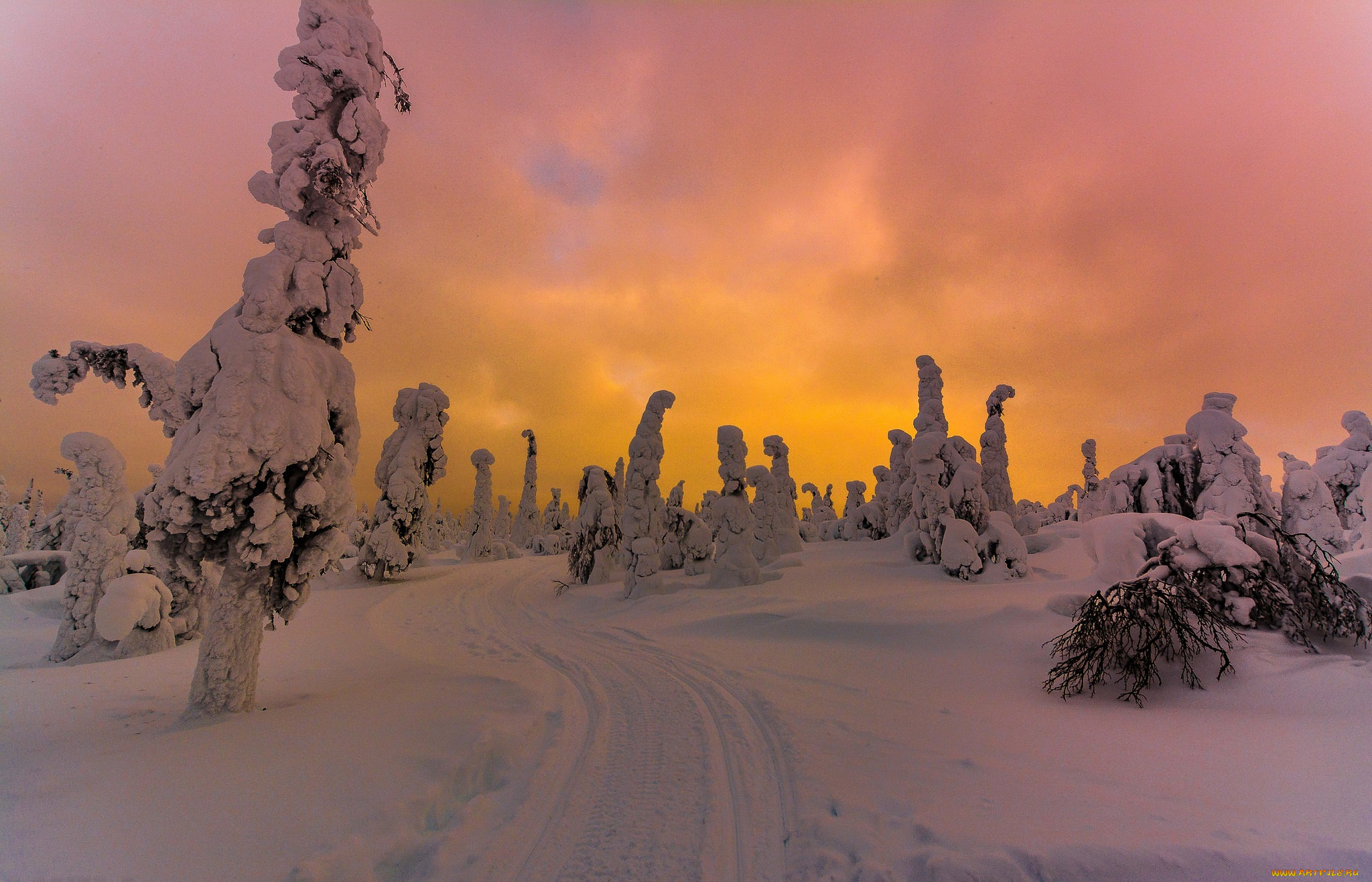 природа, зима, снег