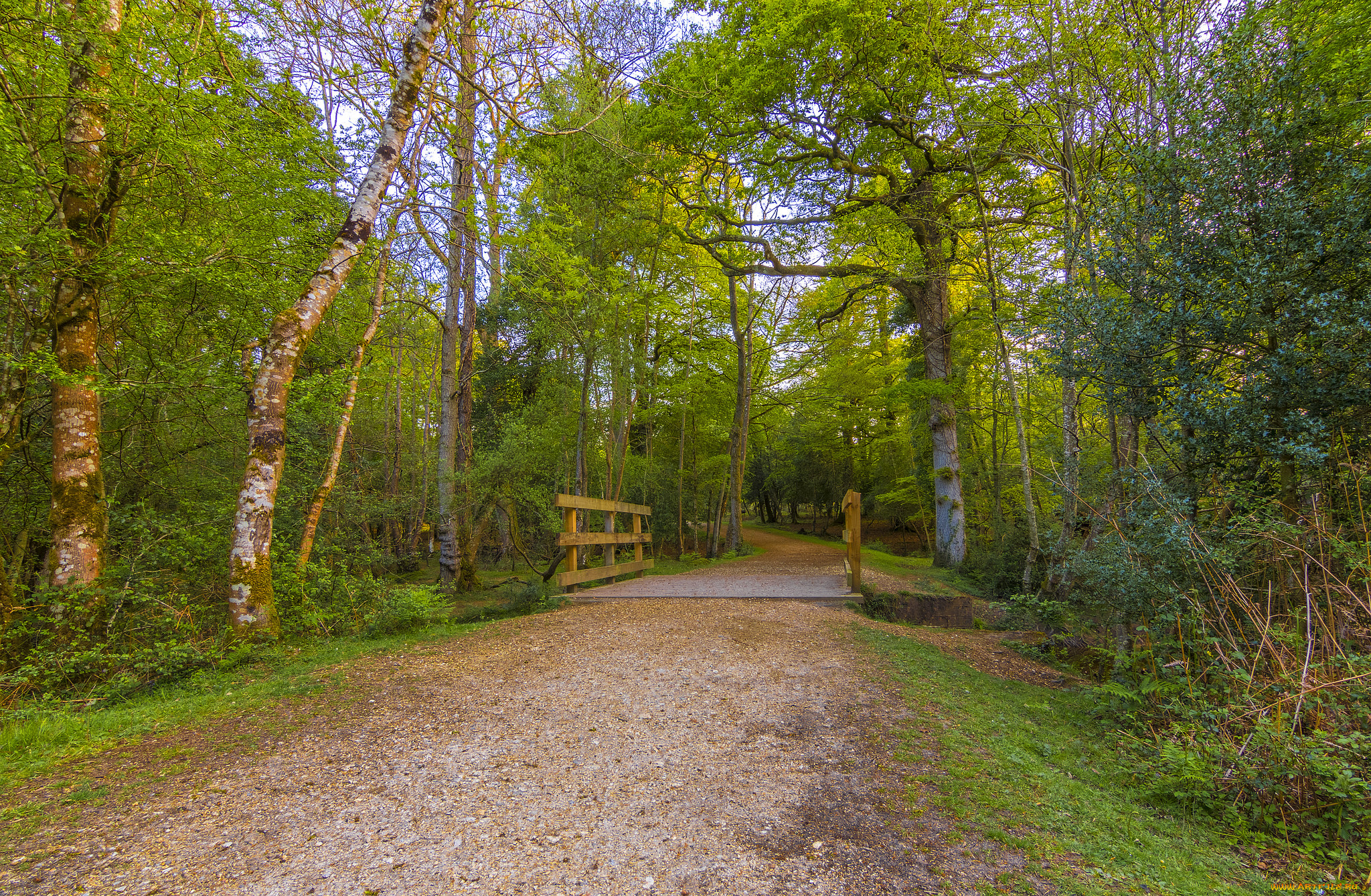 природа, дороги, тракт