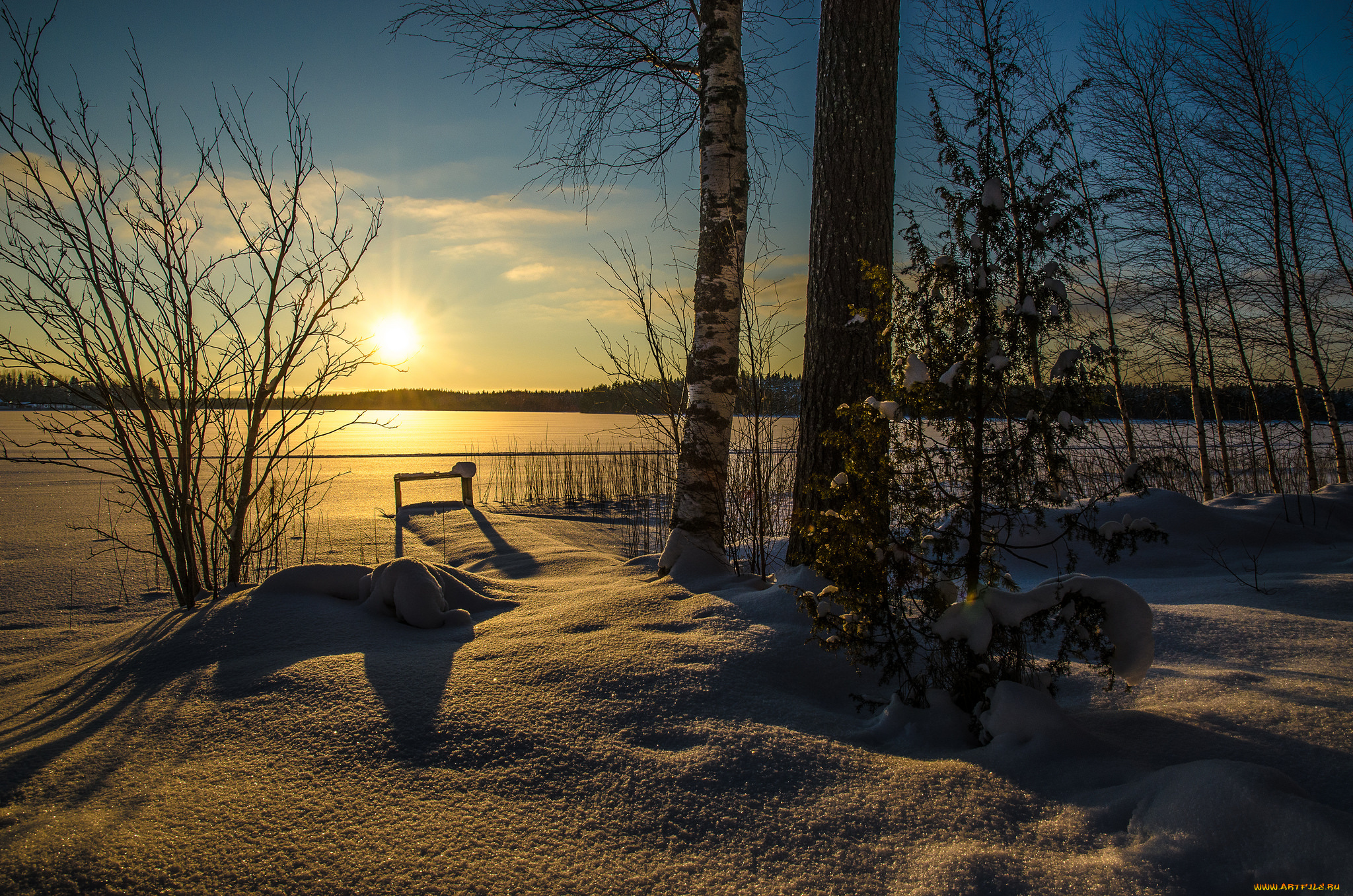 природа, зима, снег